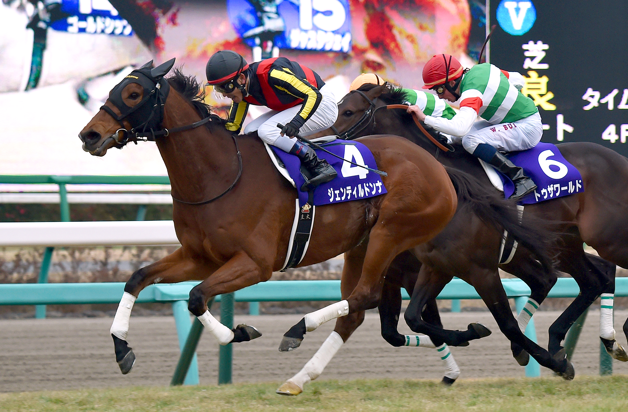 ジェンティルドンナが死ぬ 2012年の牝馬3冠、GⅠ7勝 有馬記念で