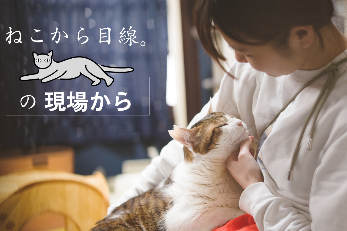 ボスから甘えん坊に変身した人気者きじやん 持病も受け入れてくれる