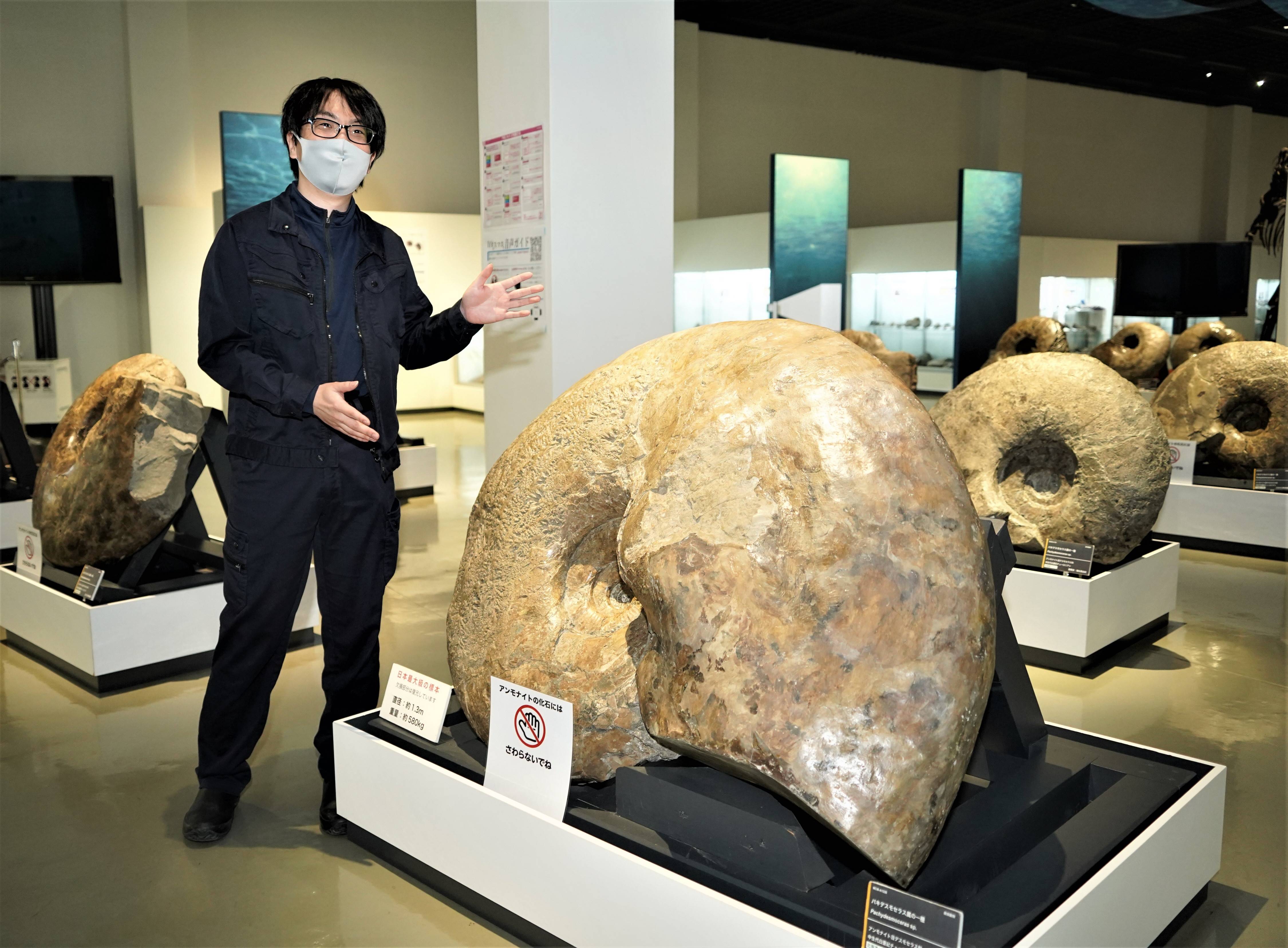 味・旅・遊】恐竜全身骨格「むかわ竜」に興奮 国内屈指の化石王国・北海道 - 産経ニュース