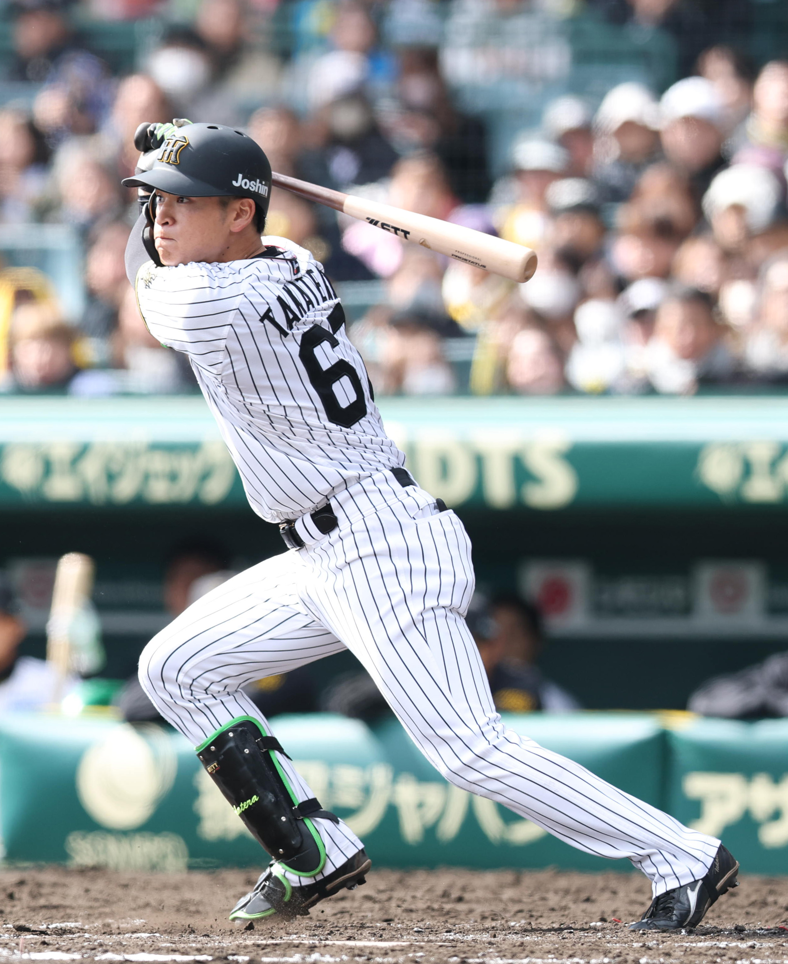 髙寺望夢 チャンピオン レプリカ ユニフォーム Mサイズ 阪神タイガース