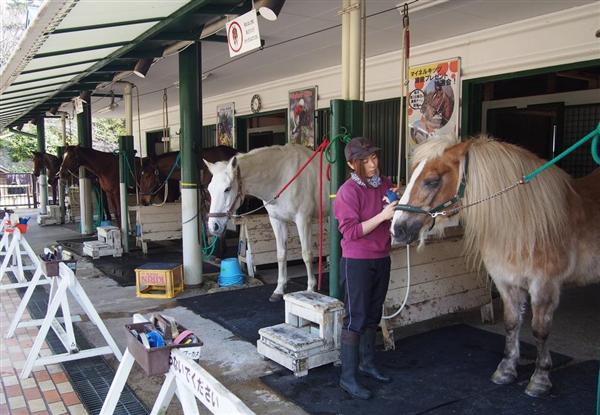 大人の遠足】日本初の洋式競馬跡でのんびり 横浜市中区・根岸森林公園