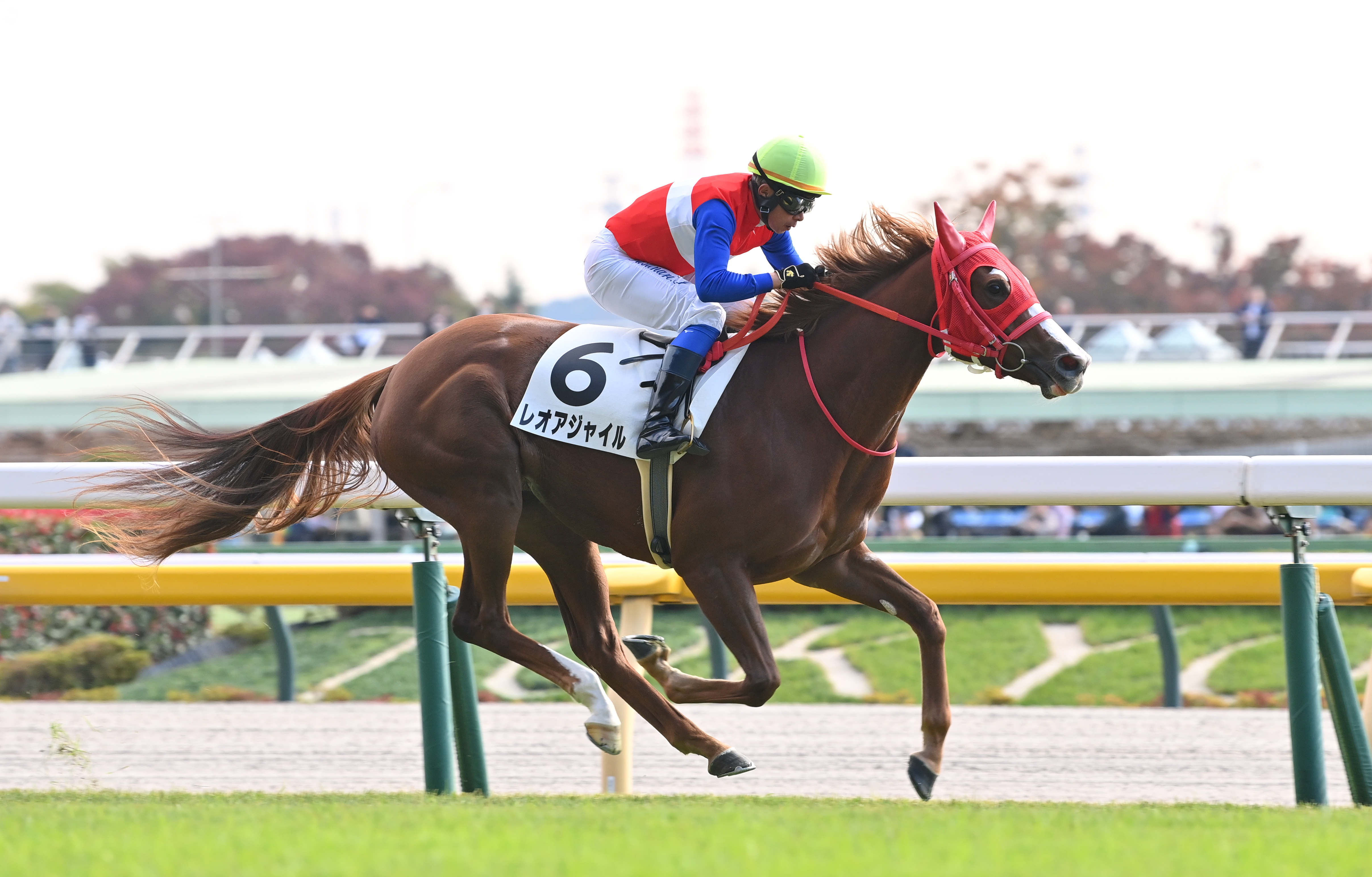 2歳新馬・東京6R】ダノンスマッシュ産駒レオアジャイルが2馬身半差の