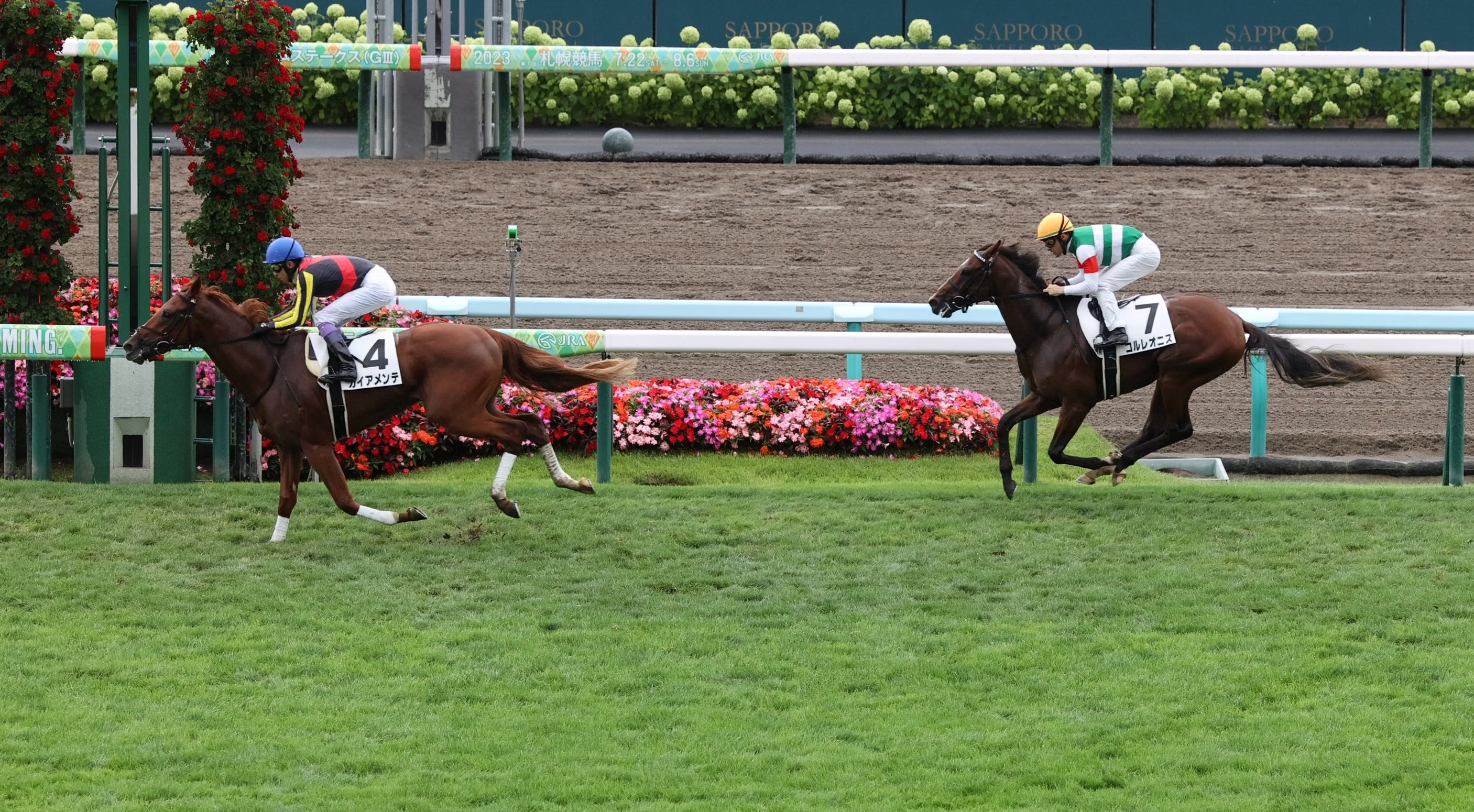 当選品】札幌競馬場 札幌2歳ステークス レプリカゼッケン ガイア