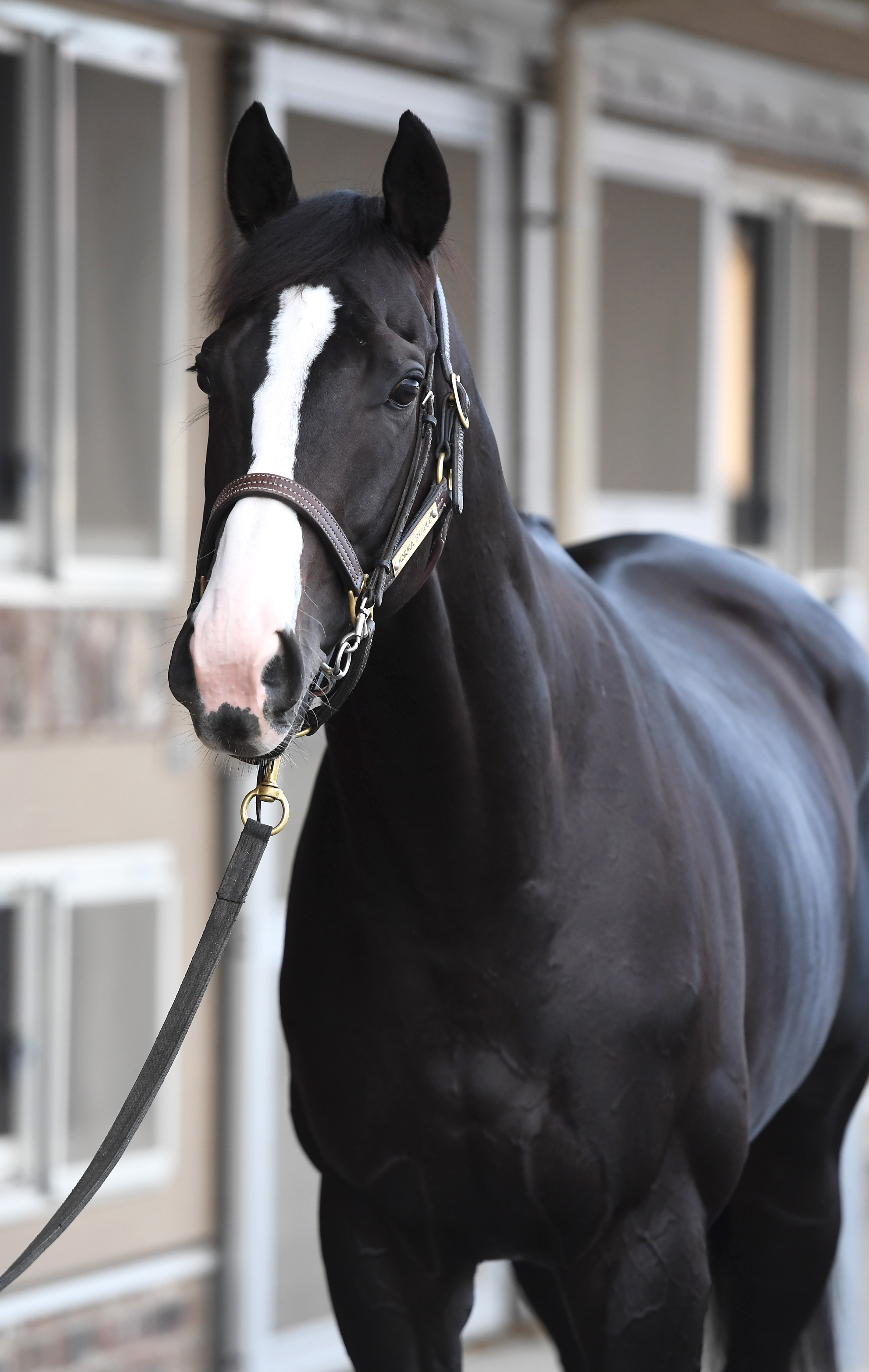 イクイノックスは種牡馬としての可能性も無限大 アーモンドアイ