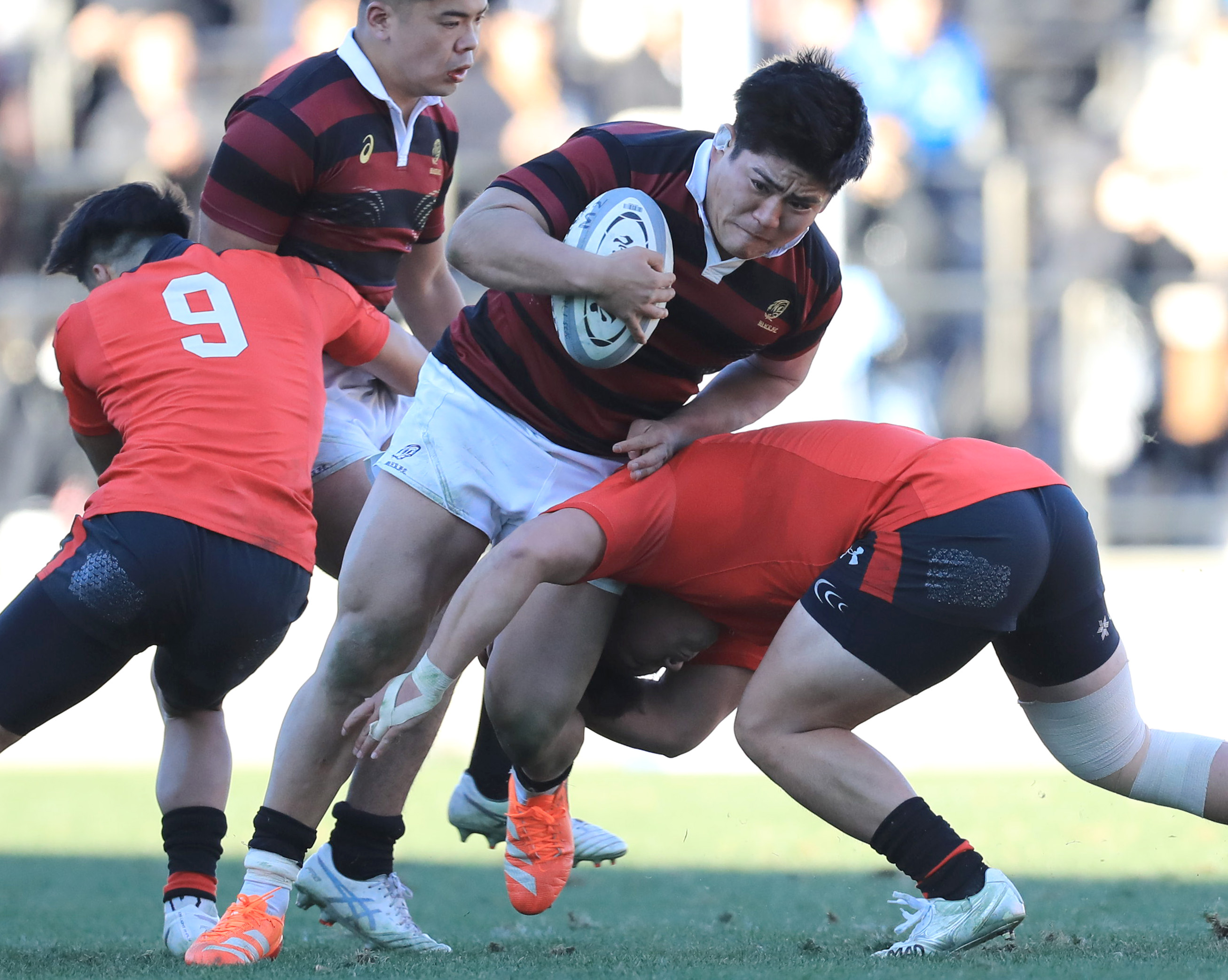 ☆限定品・未使用☆ 早稲田大学ラグビー部大学選手権優勝記念荒ぶる