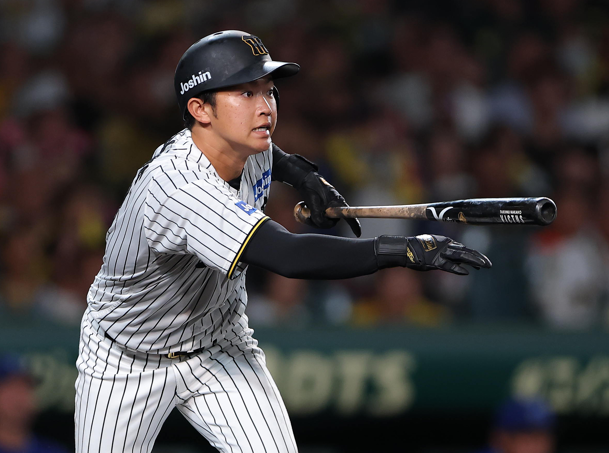 将来有望‼️阪神　中川選手実使用バット XVM6PHK4BFIV5PGOWGHSAX7FLM.jpg