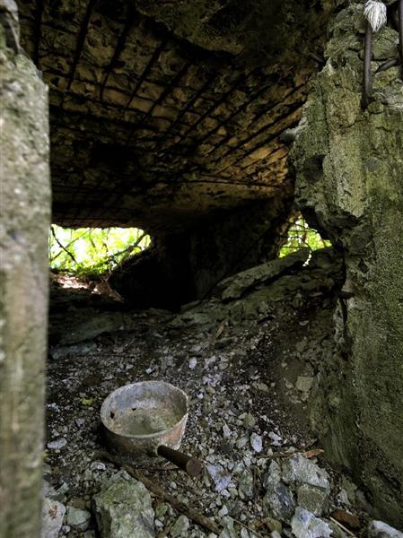 激闘の地 硫黄島はいま 中 悲しき残骸 大砲の向きが物語る絶望 1 4ページ 産経ニュース