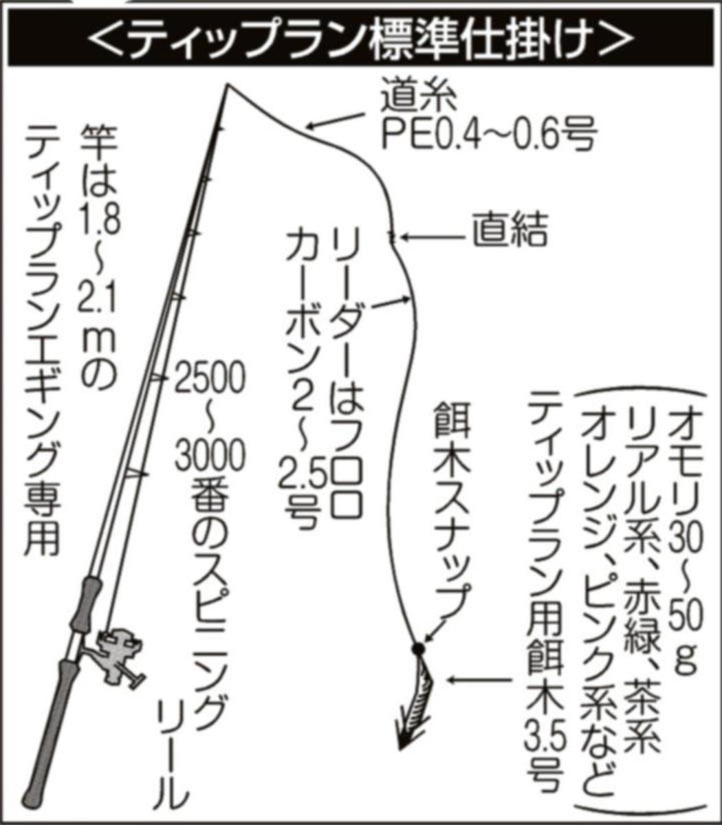 イカの王様アオリイカ ティップラン釣法で正月用に確保しよう 相模湾 佐島沖 サンスポ