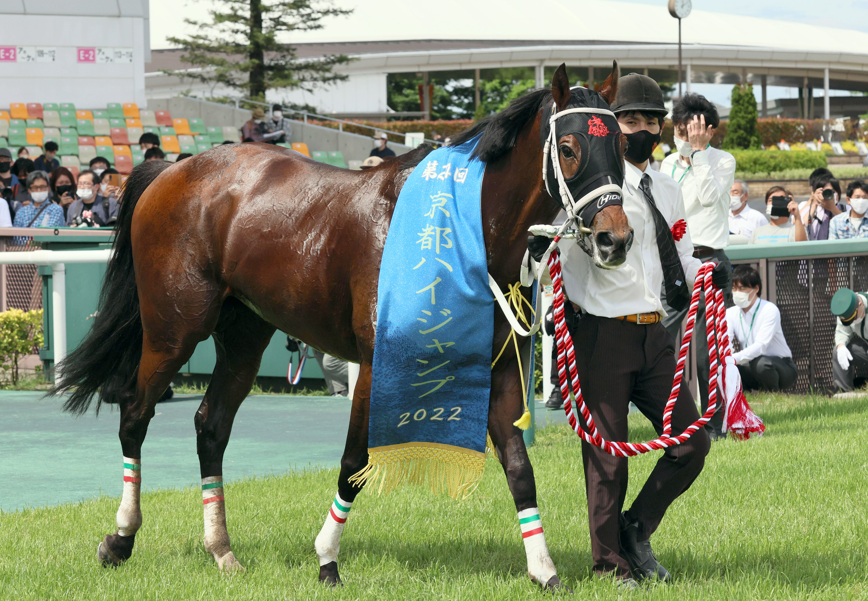 京都ハイジャンプ タガノエスプレッソが逃げ切り サンスポzbat