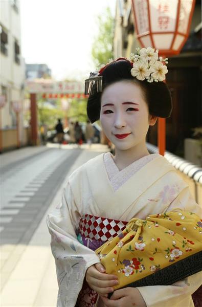 京都検定1級記者の都めぐり】舞妓に漂う、桜の気品（1/2ページ