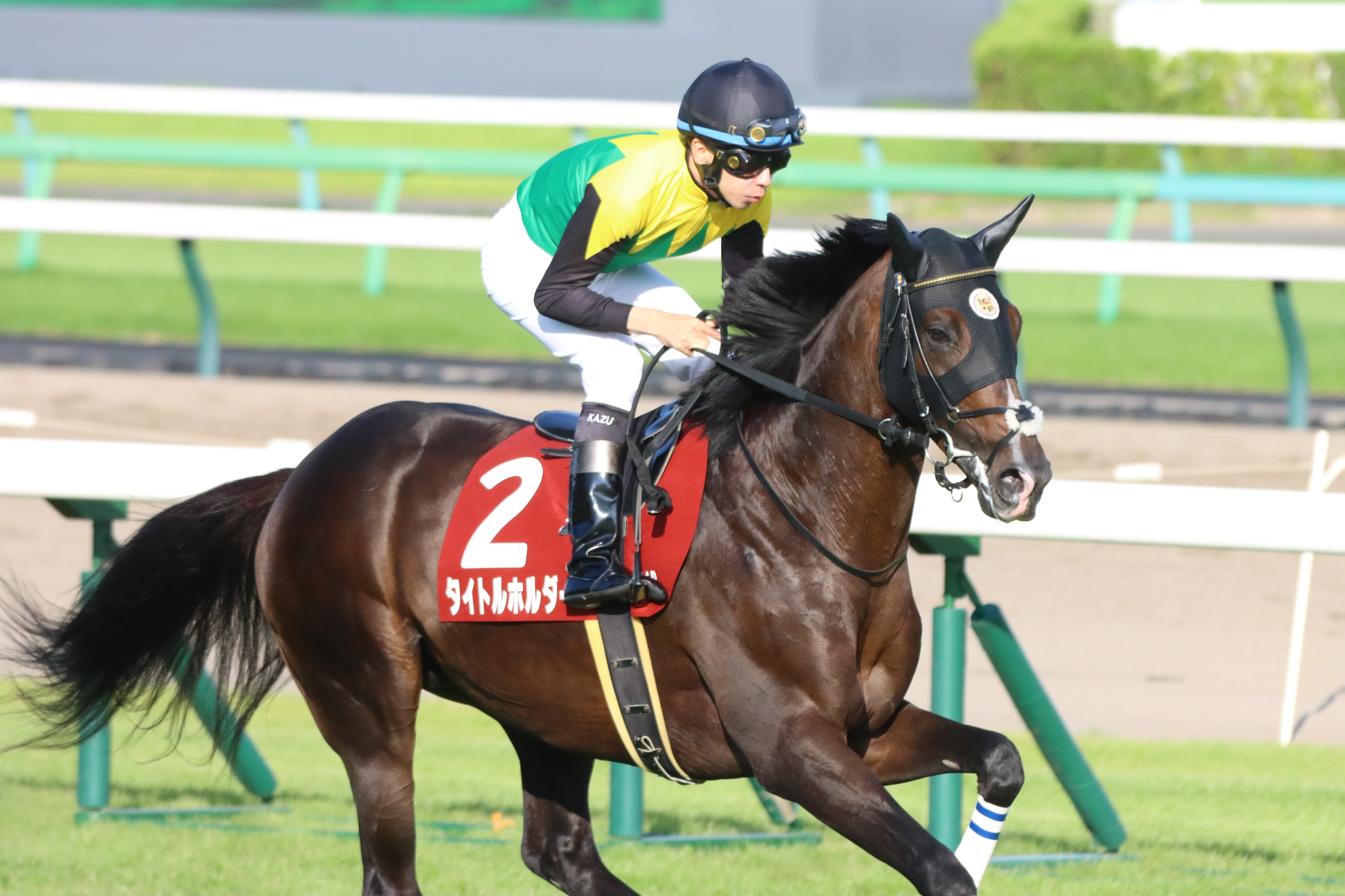 競馬占いと作戦 【書き込みあり】 Amazon.co.jp: 黄小娥 競馬占い作戦 易で勝ち馬を当てる法/周易