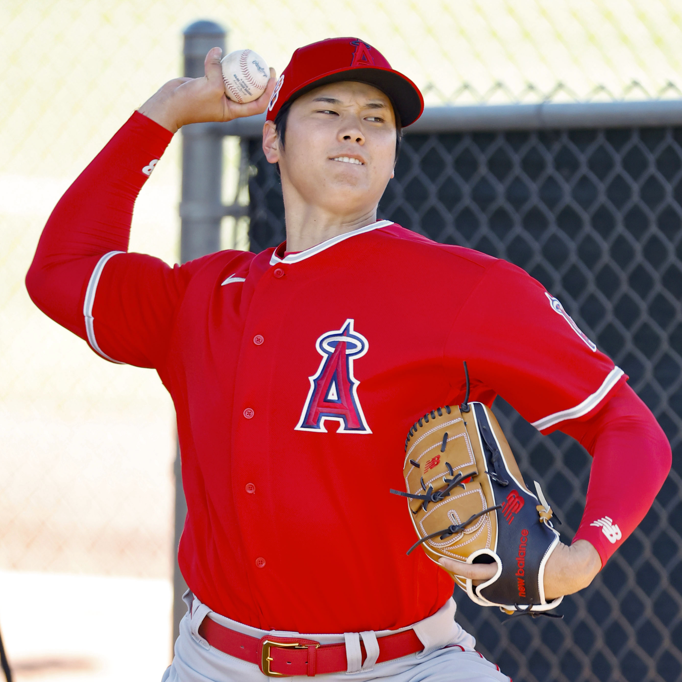 大谷翔平 2023シーズン WBC レビュー】WBC2023 ダイゴロウ的勝手な