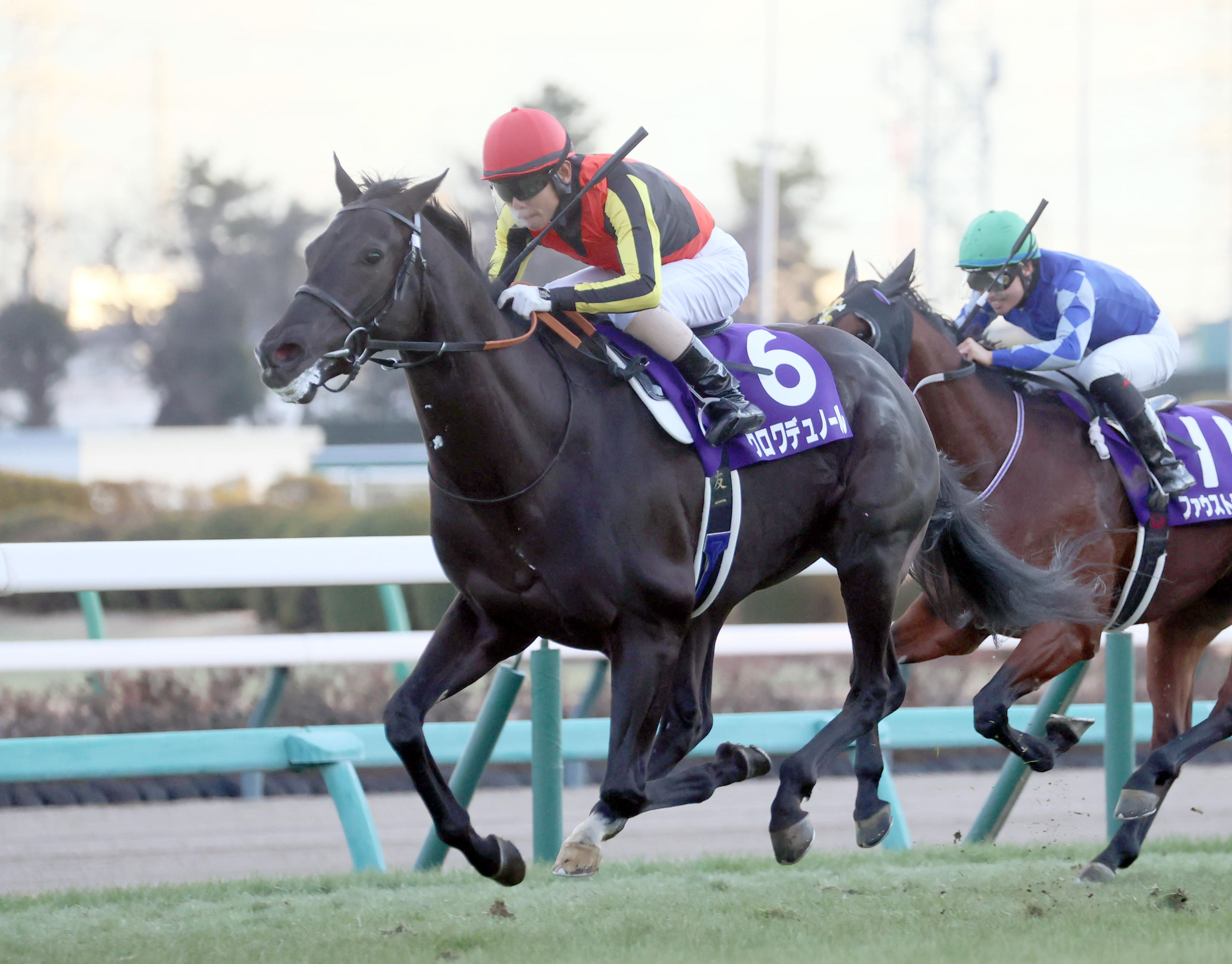 【中古】 井崎脩五郎の競馬探偵/コーエーテクモゲームス/井崎脩五郎 中古】 井崎脩五郎の競馬探偵/コーエーテクモゲームス/井崎