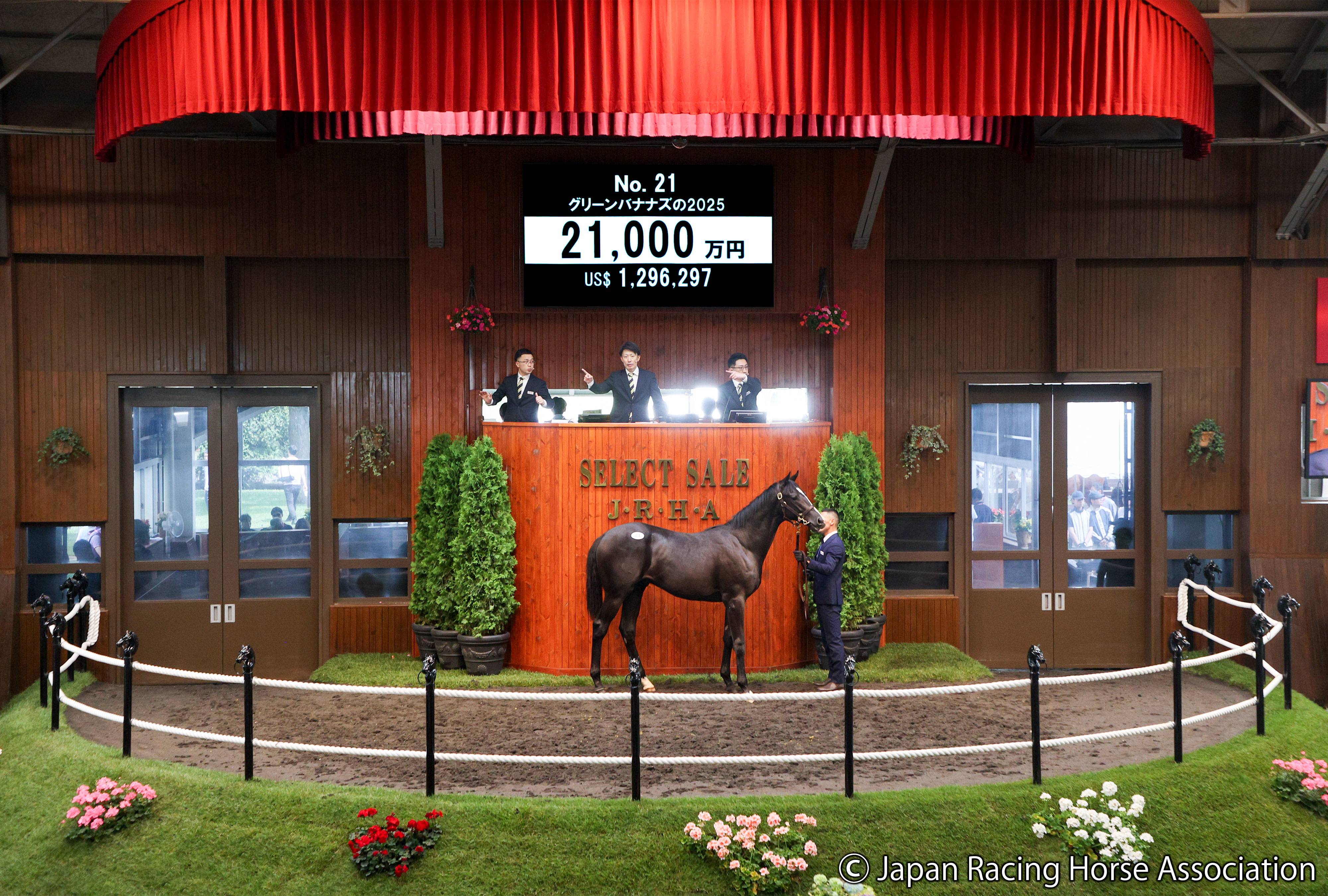 PULSERACEクラインパルスレース　札幌市引取限定 セレクトセール2026・初日】イクイノックス産駒が2億1000万円で落札