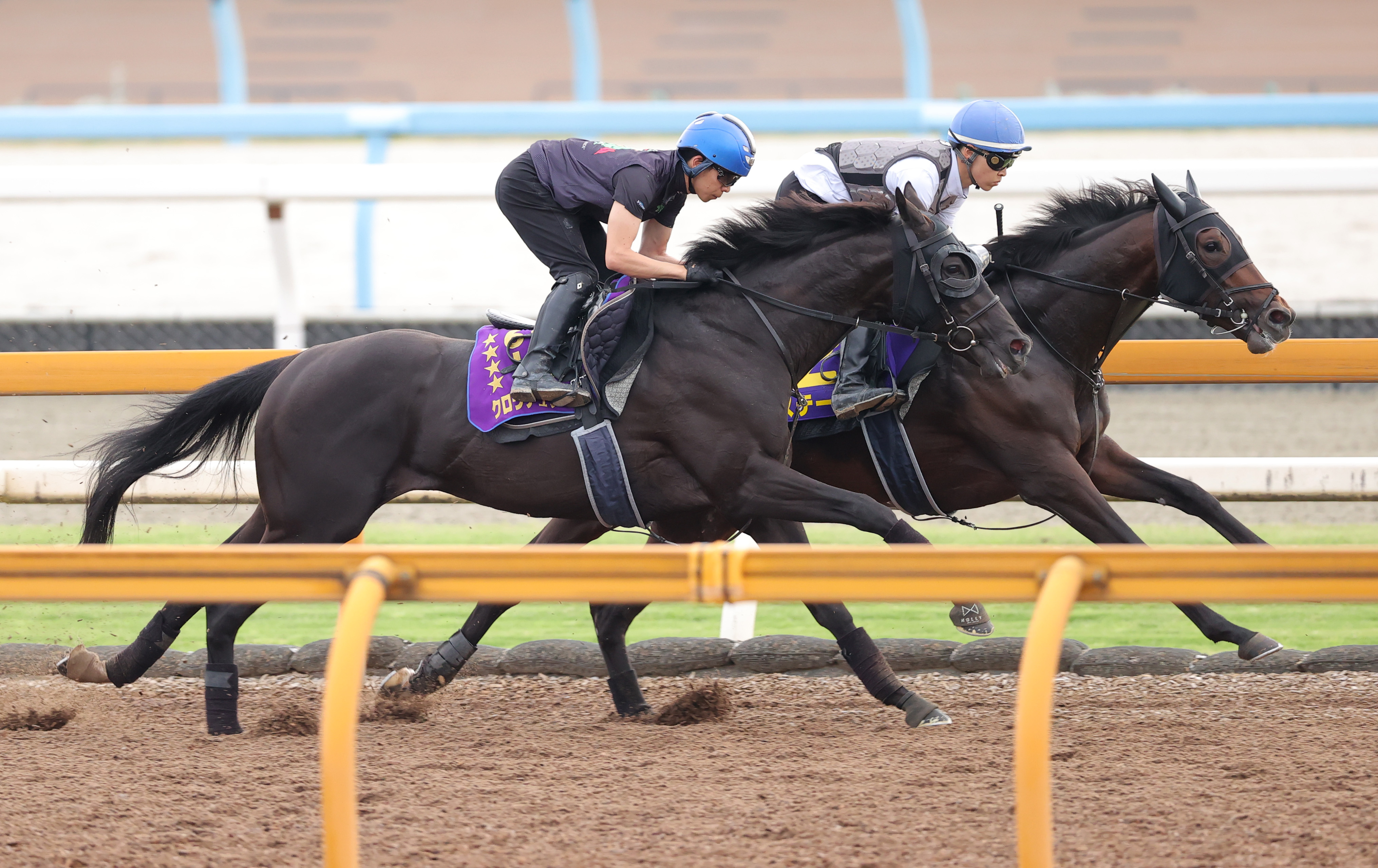 宝塚記念 2週前追い切り】クロワデュノールは半馬身遅れも折り合い