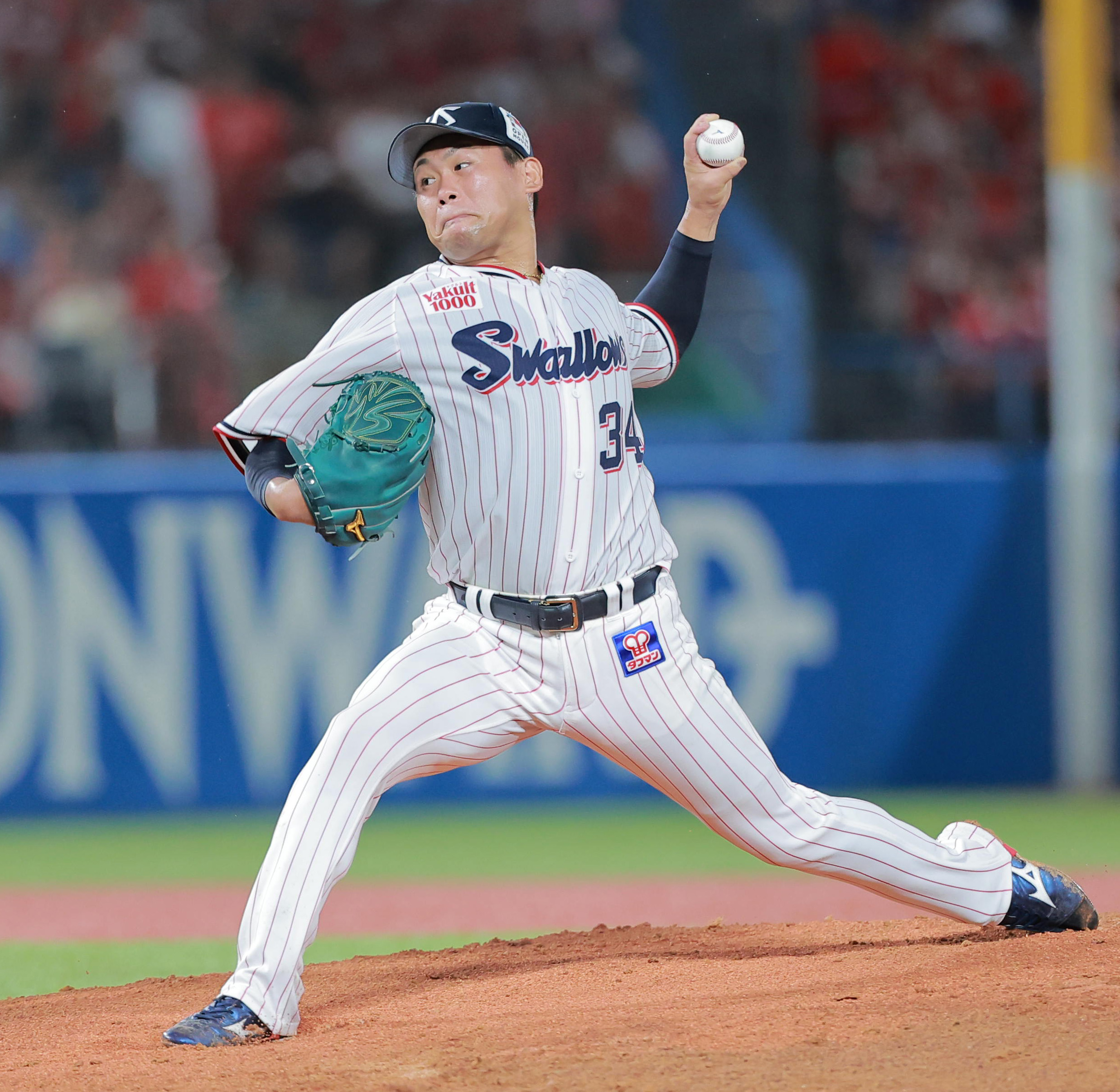 商品一覧|中古 【記念|在庫 ヤクルトカテゴリ スワローズあり 】野球
