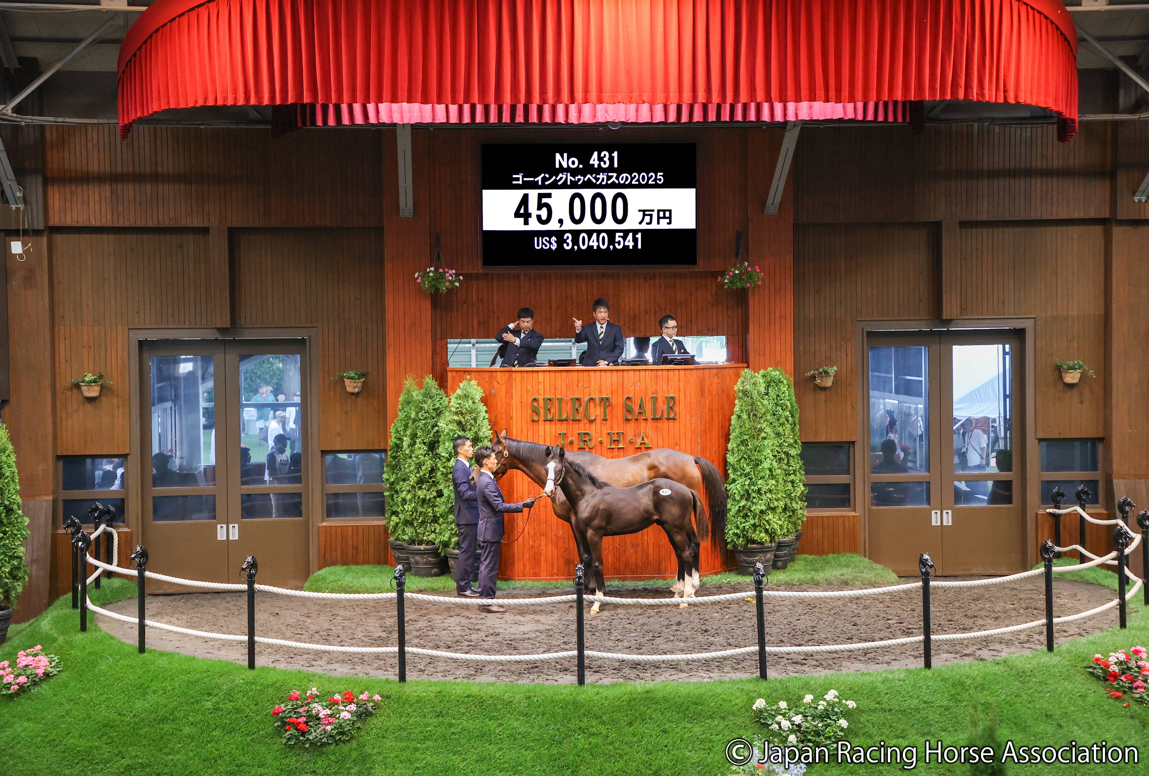 セレクトセール2025・2日目】父イクイノックスの牡馬が4億5000万