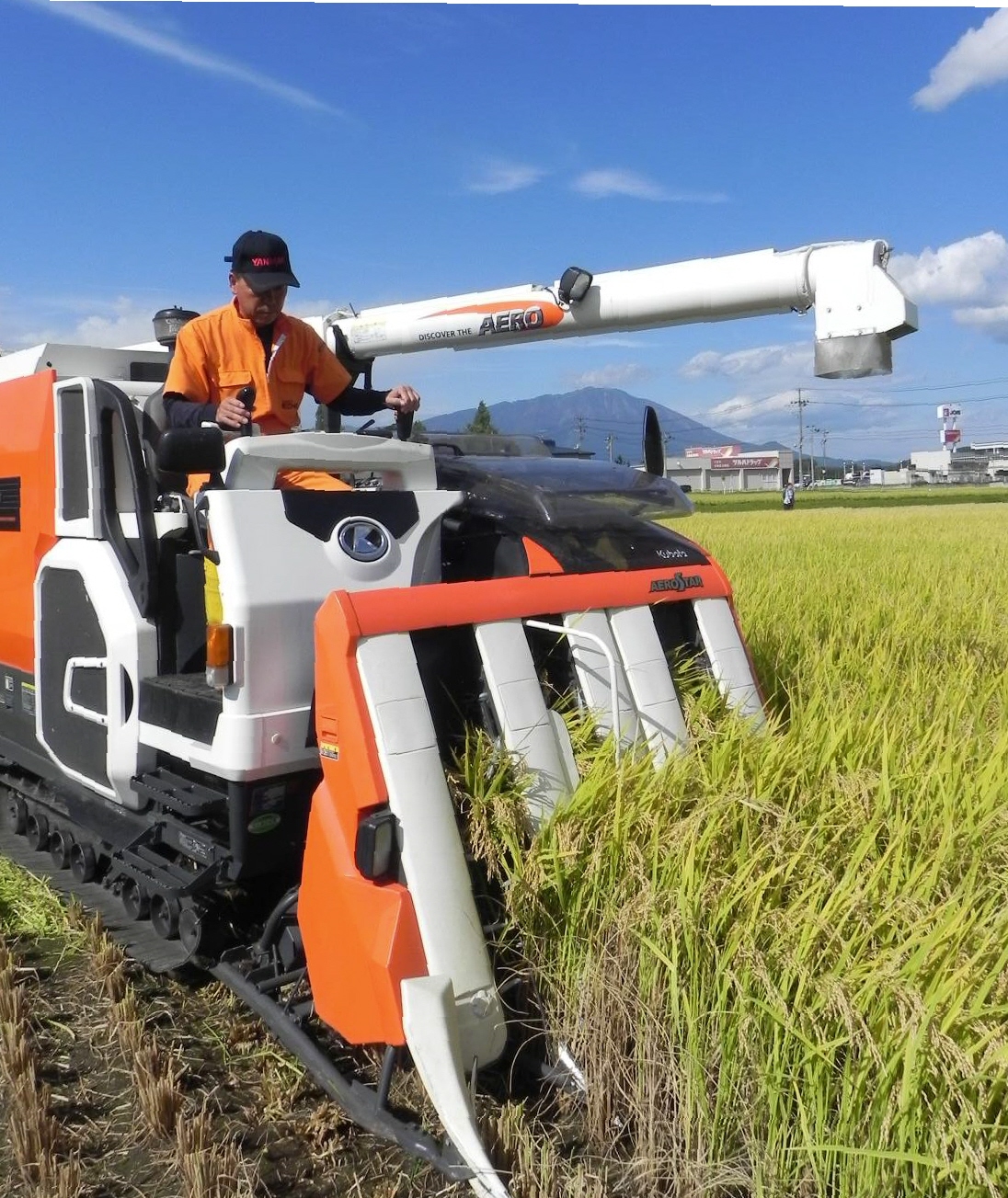 深層リポート 地球温暖化でも高まるコメ冷害リスク 岩手大の下野教授が警鐘 1 2ページ 産経ニュース