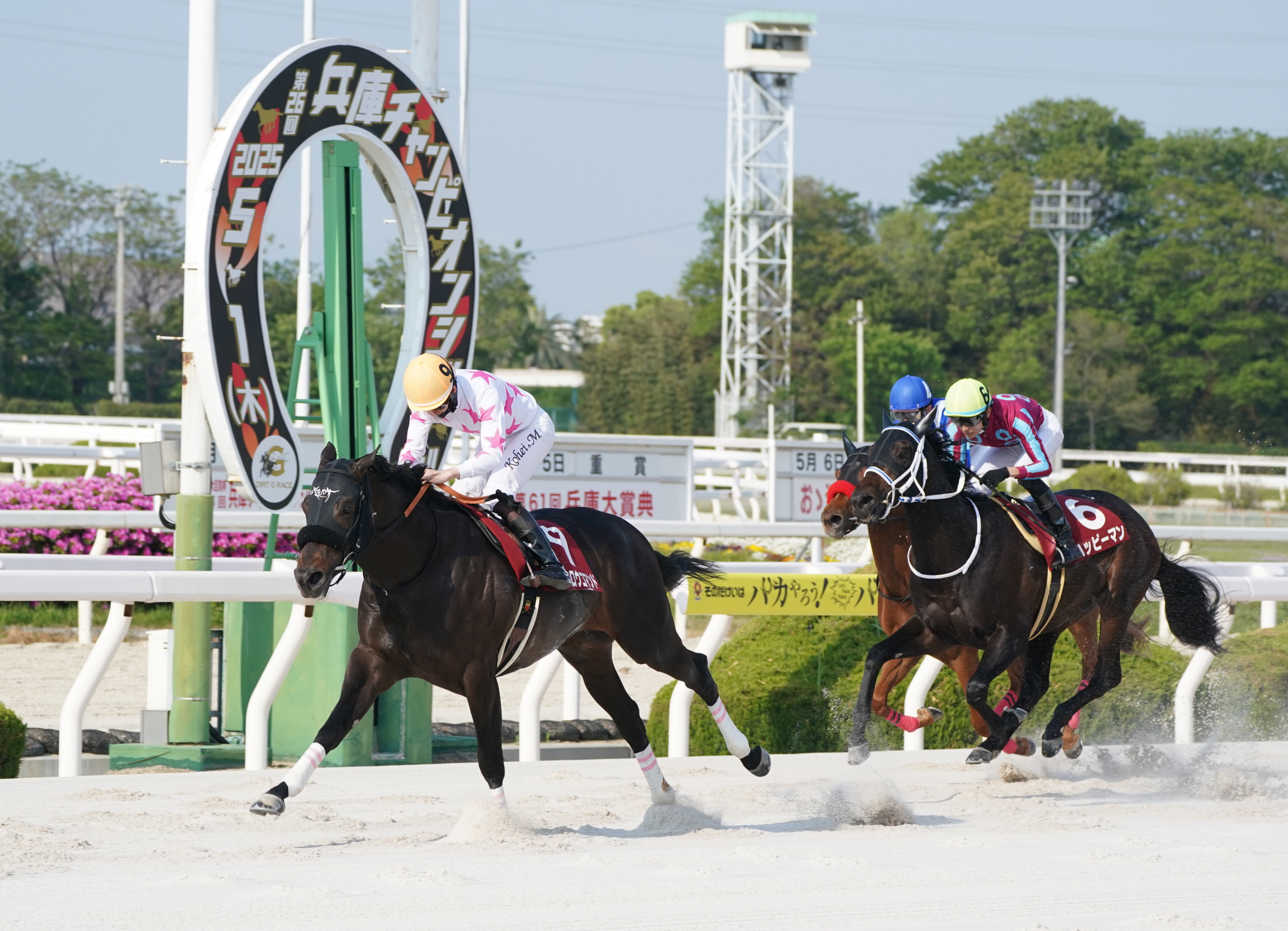 門別競馬・JpnⅢ北海道スプリントC】マテンロウコマンドが5連勝
