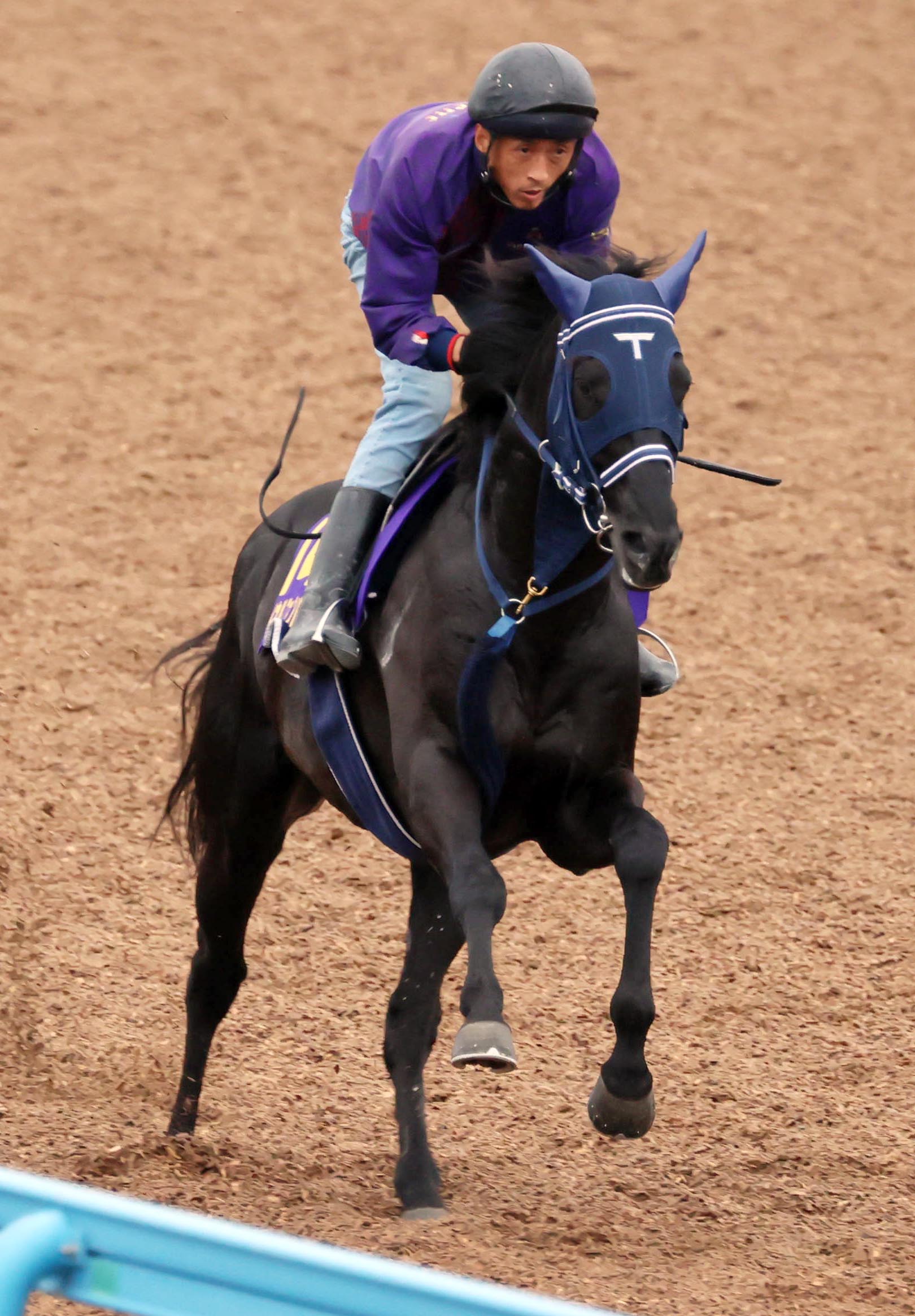 天皇賞 春 爆穴男 松岡ｊ背に０９年キッツの再現だ マイネルファンロン サンスポzbat