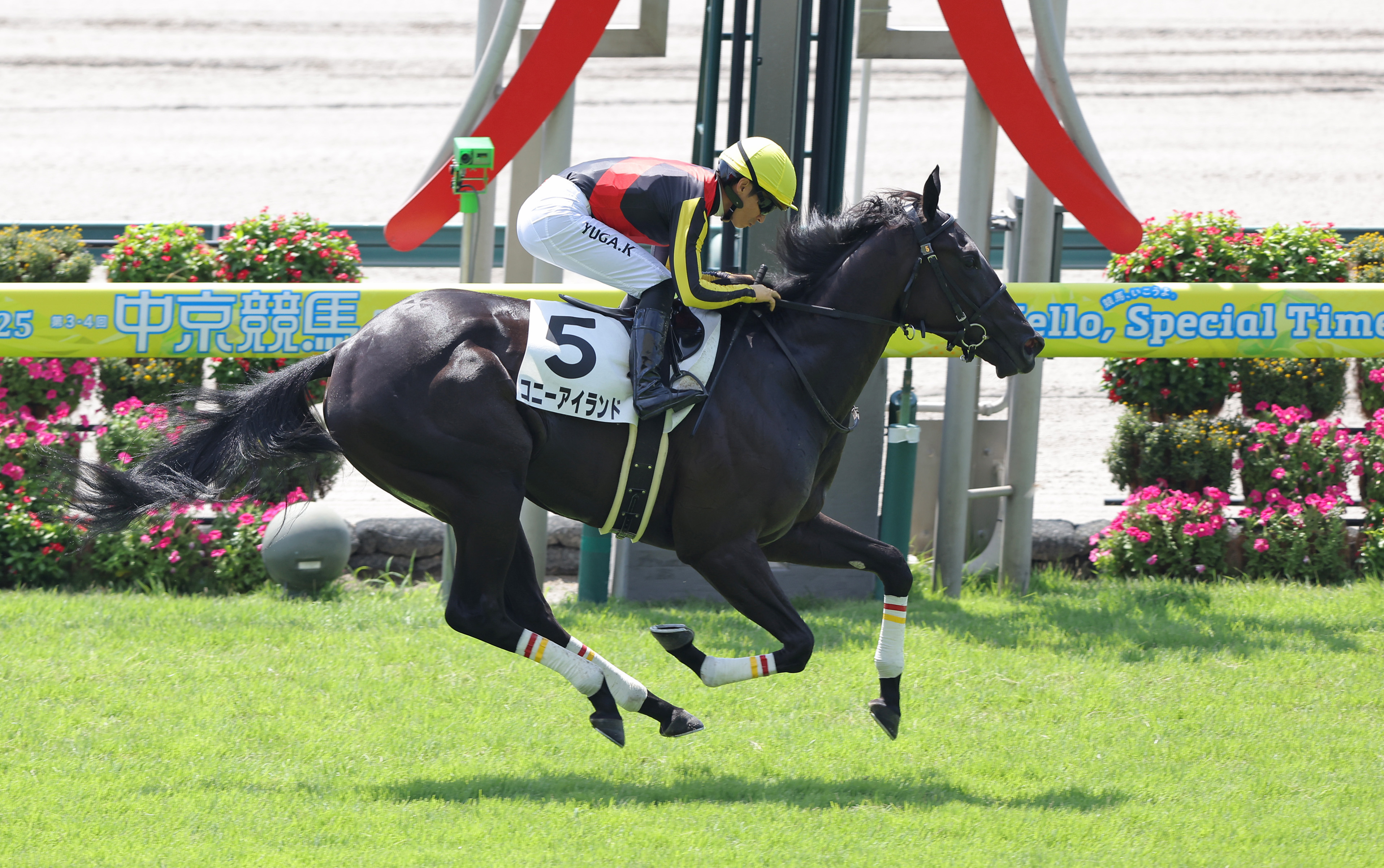 JRA記念品☆新品 2歳新馬・中京2R】コニーアイランドが人気に応えて快勝 姉は3冠