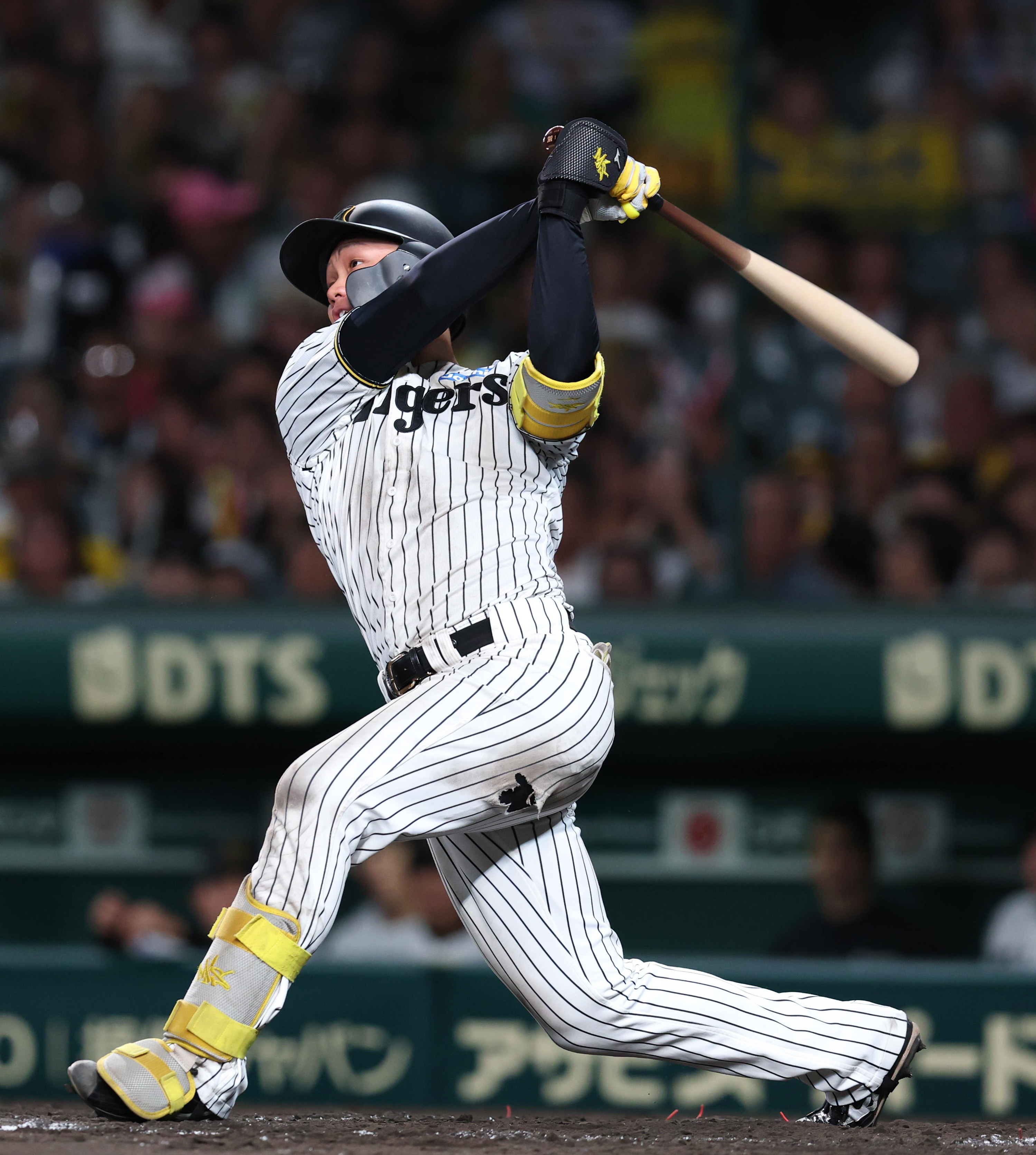 阪神・森下翔太、9月4発目となる23号ソロ「なんでも出塁すれば