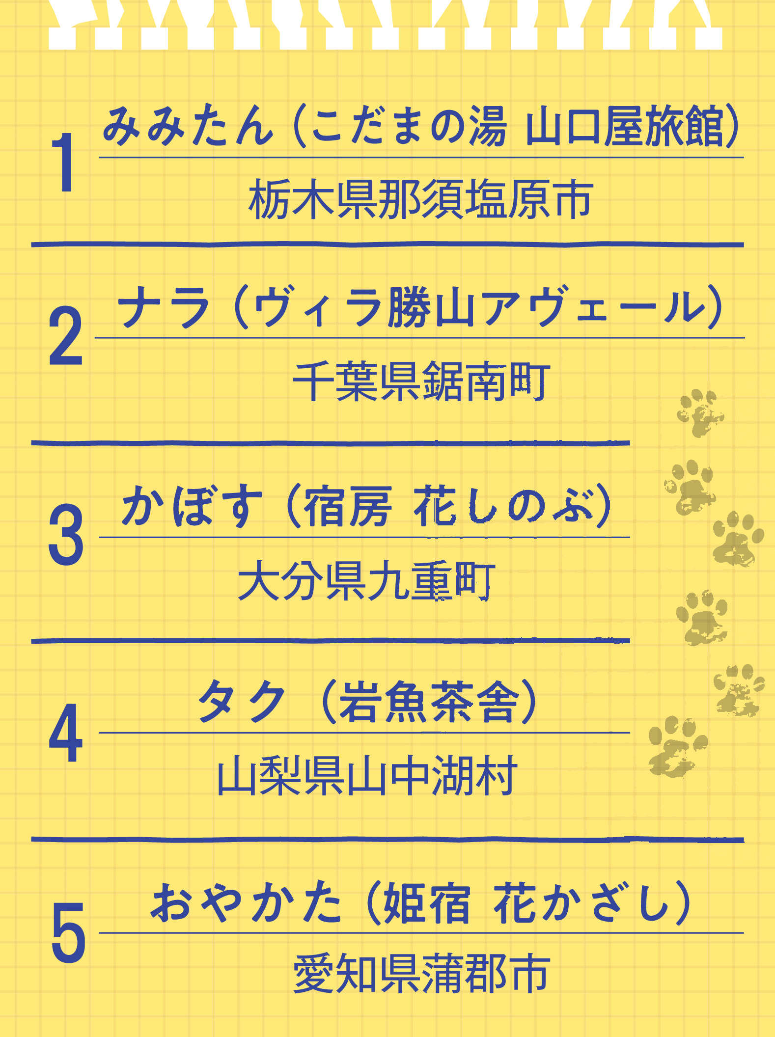 会ってみたい宿の看板猫ランキング、みみたんが1位「猫の日を前に訪ね
