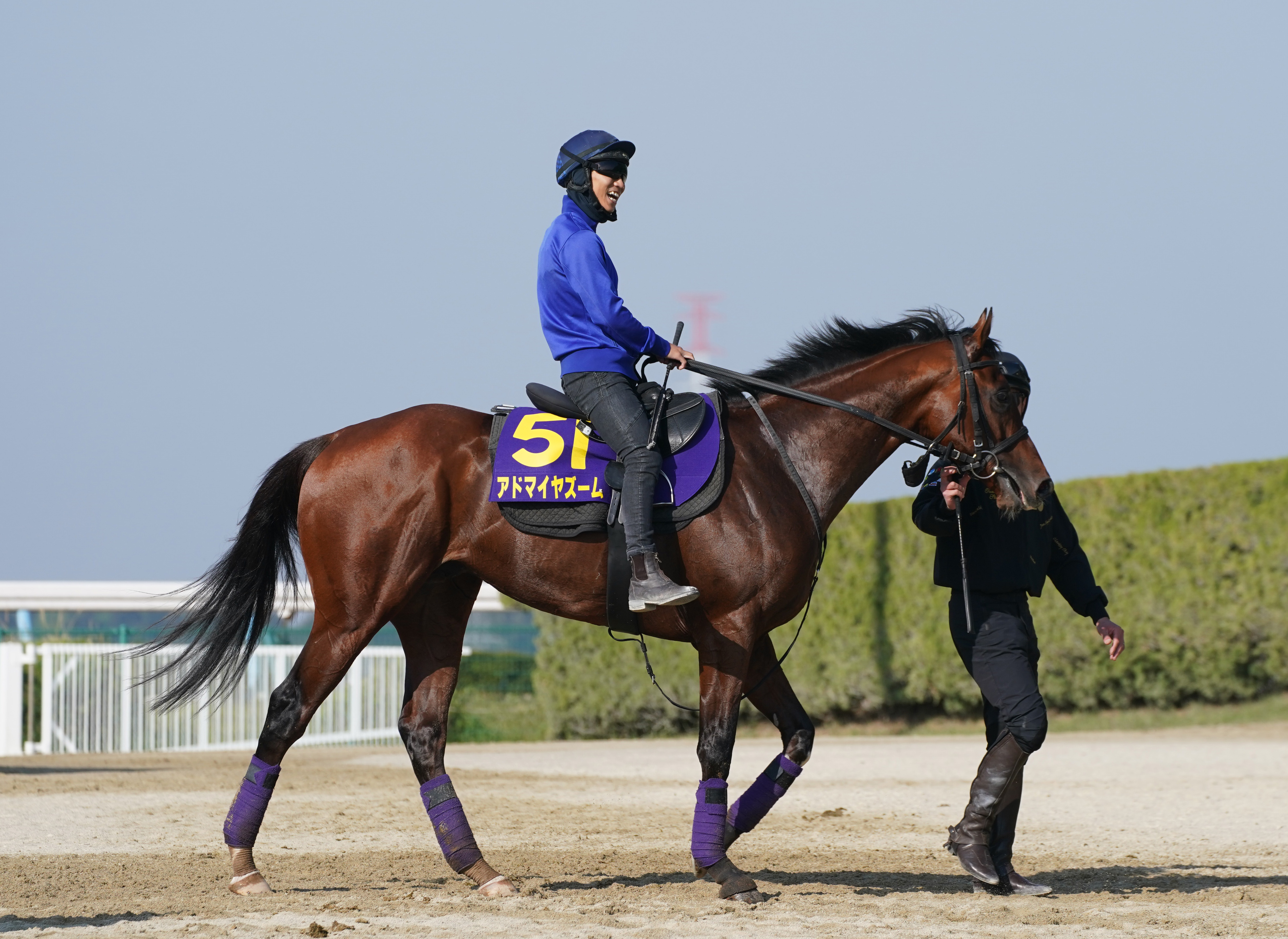 まねき馬 No.2470リバティアイランド追悼SP リバティアイランド: ファンの愛に支えられた第7代三冠牝馬を偲ぶ
