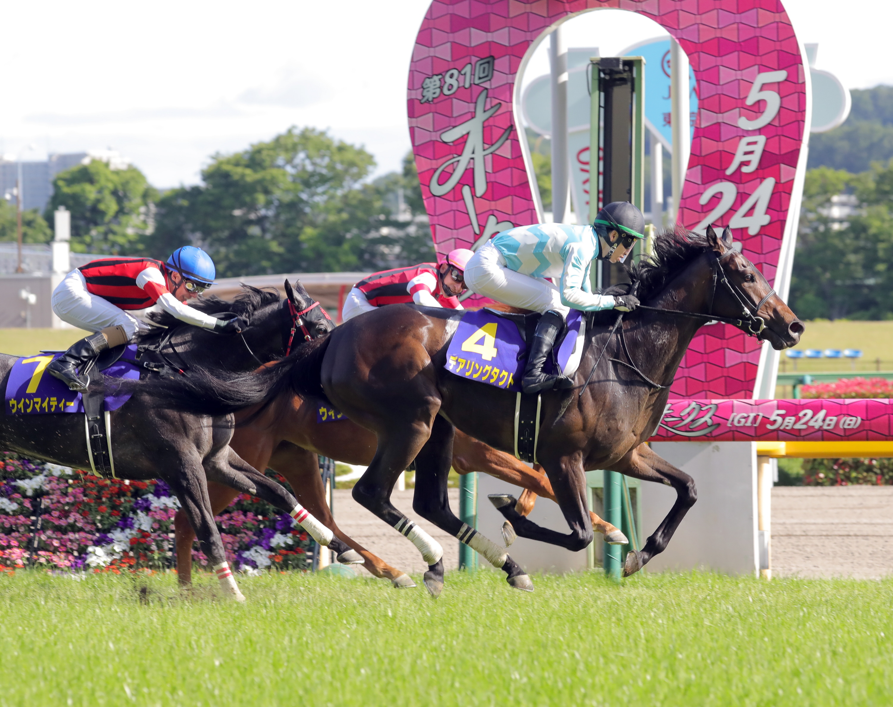 無敗牝馬３冠デアリングタクトが電撃引退でターフに別れ 体部繋靭帯炎