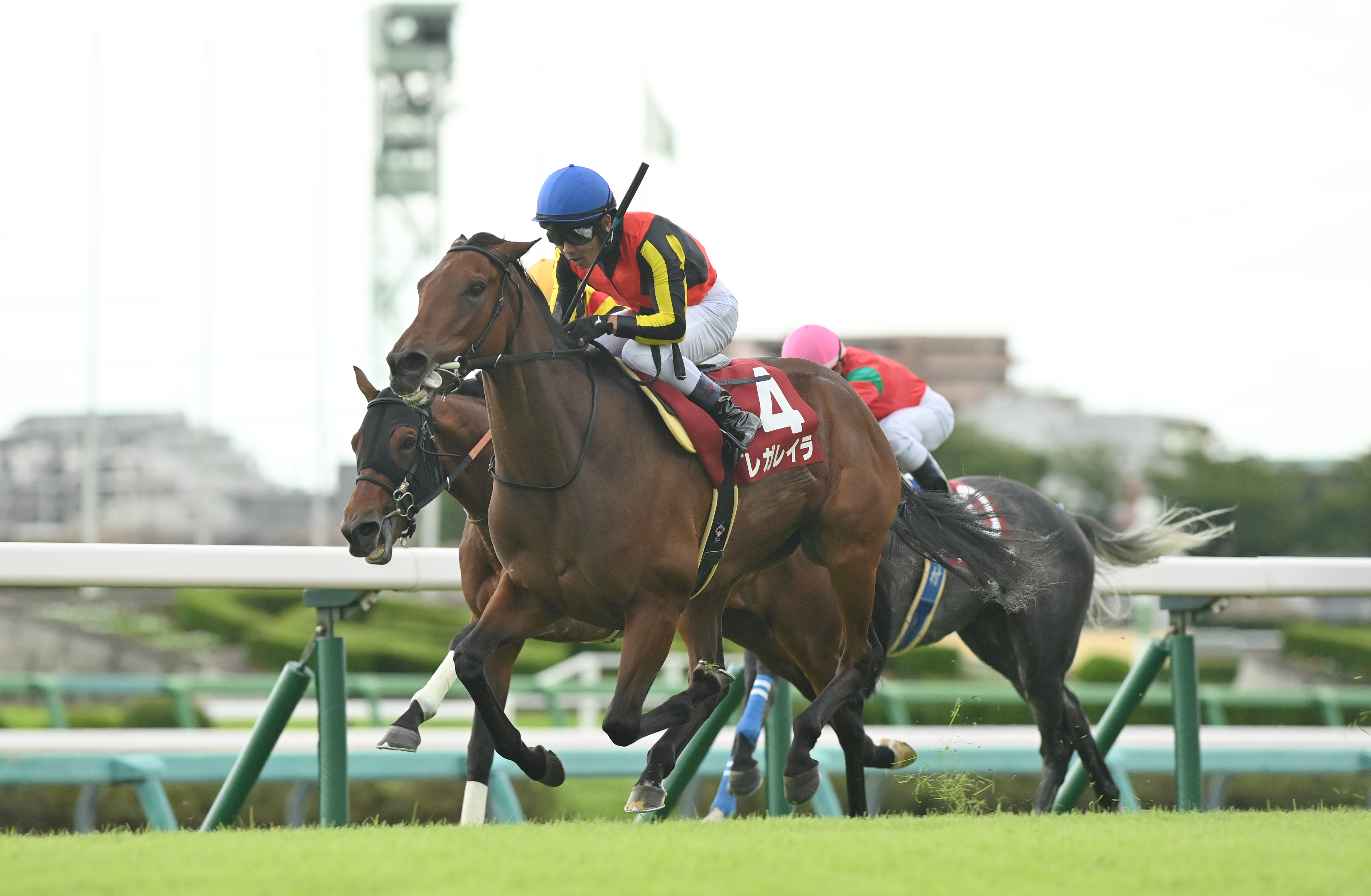 3歳以上次走報】レガレイラはエリザベス女王杯へ - サンスポZBAT!