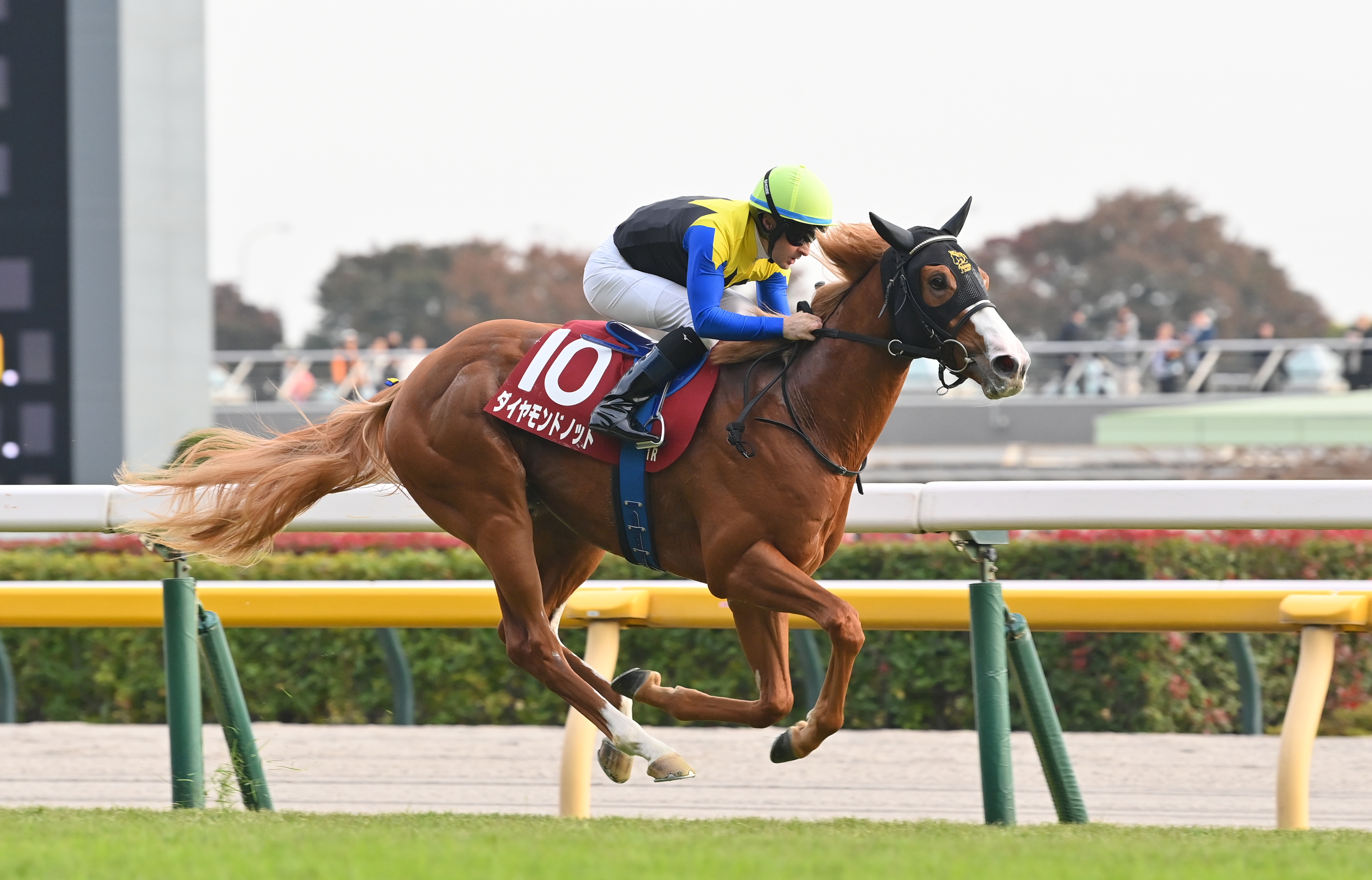 京王杯2歳S】ダイヤモンドノットが突き放し3馬身差の圧勝！絶好調