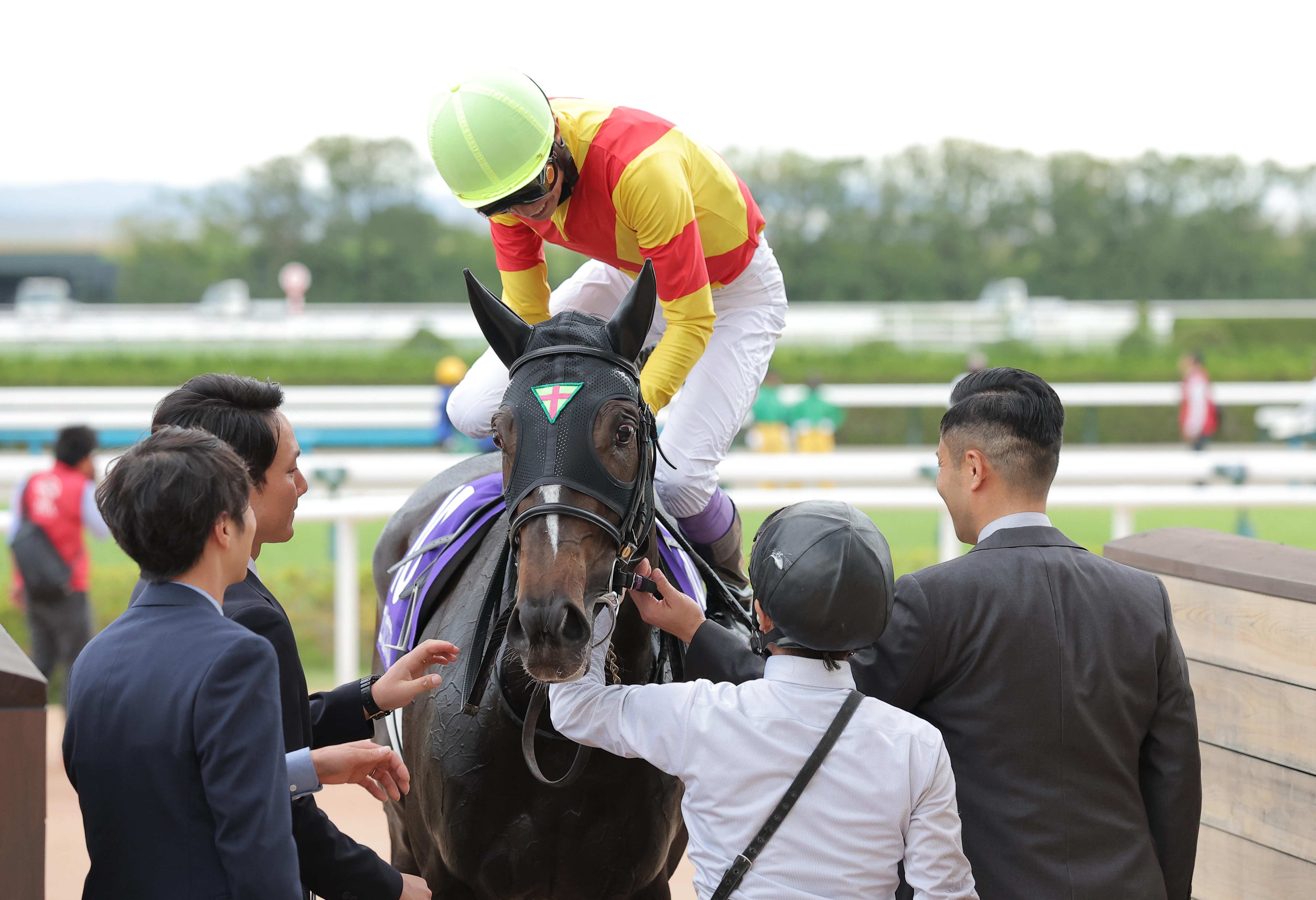 秋華賞2着エリカエクスプレスは引き続き武豊騎手でエリザベス女王杯へ