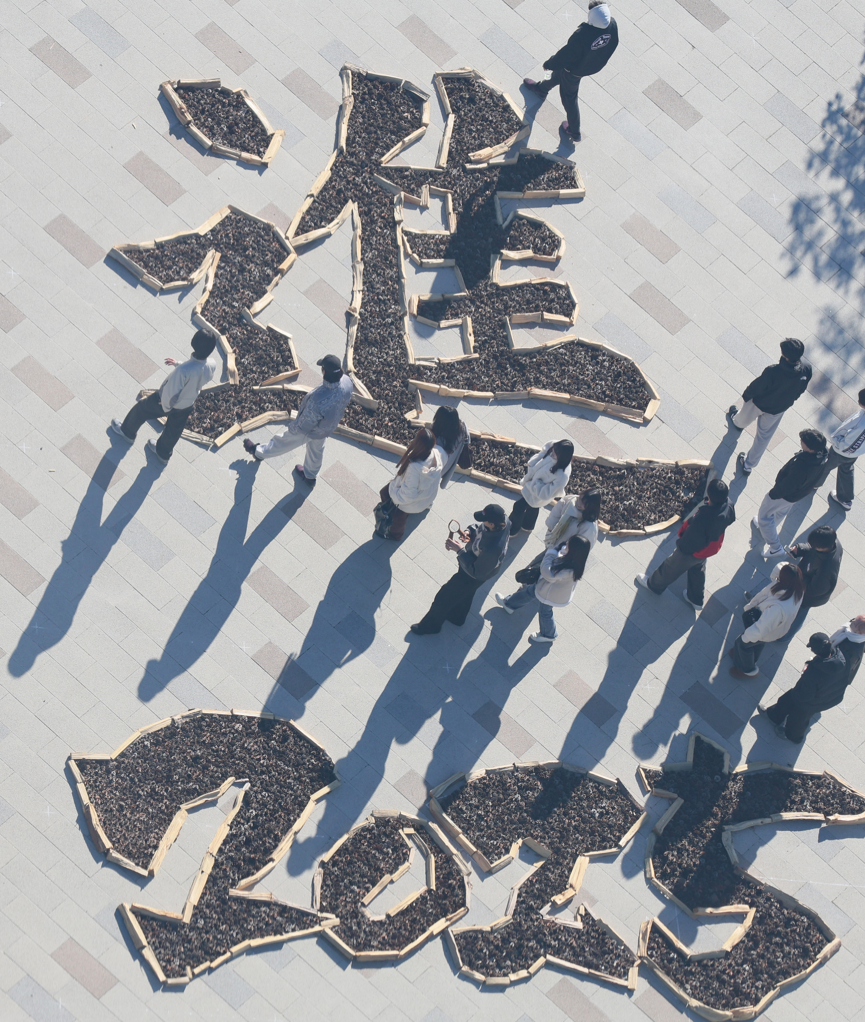 来年は蛇のように前を向いて進んで 茨城・国営ひたち海浜公園で「干支