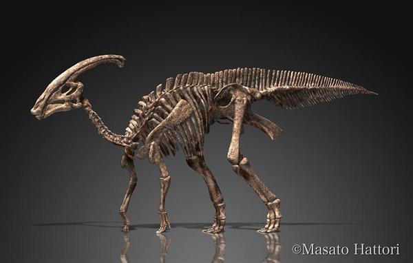 化石　恐竜ハドロサウルス科の肋骨　実物　産地・種類不明　64㎝ 化石 恐竜ハドロサウルス科の肋骨 実物 産地・種類不明 64㎝