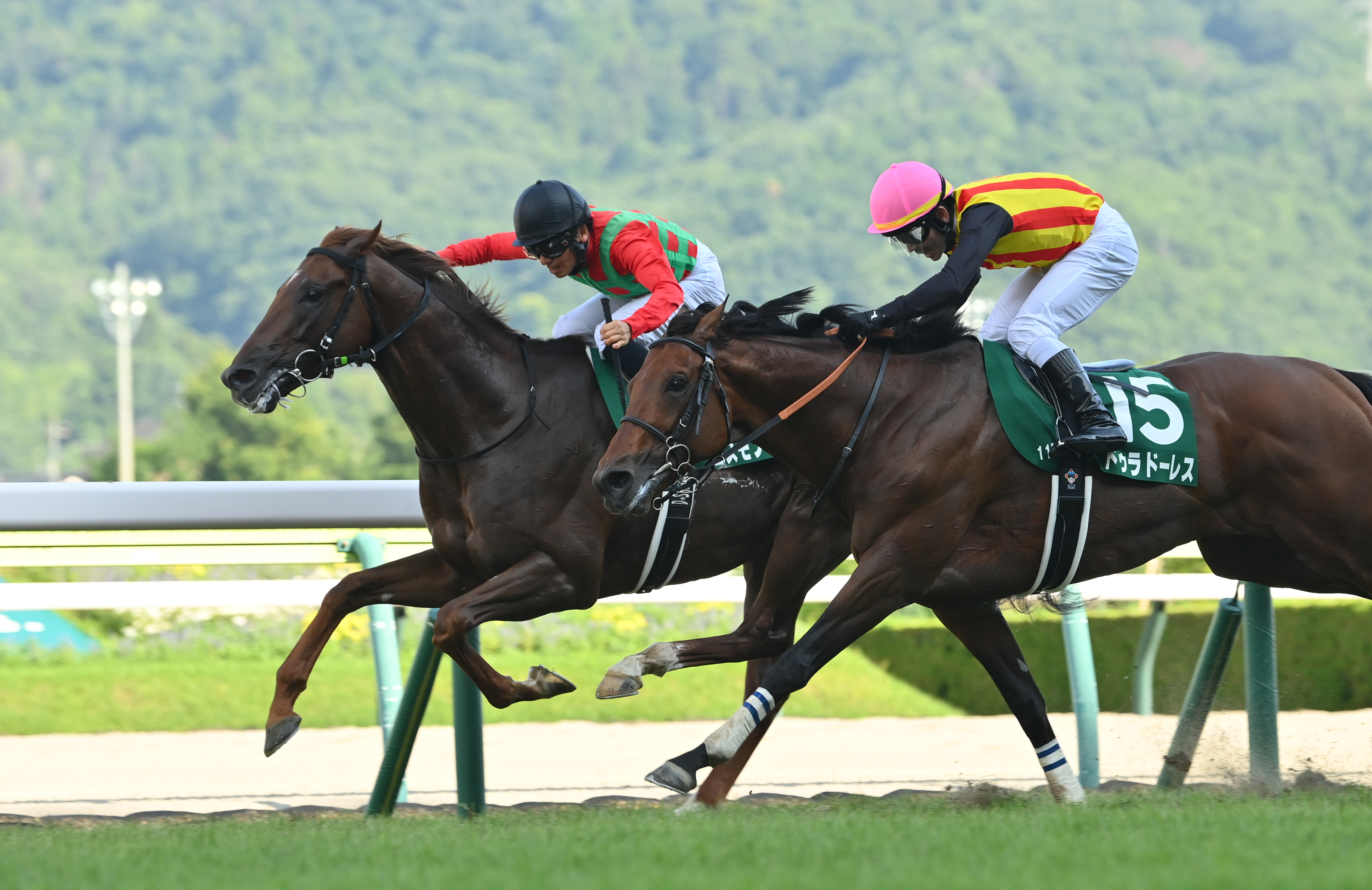 七夕賞】コスモフリーゲンが執念の逃げ切りV！柴田大知騎手は4年7カ月