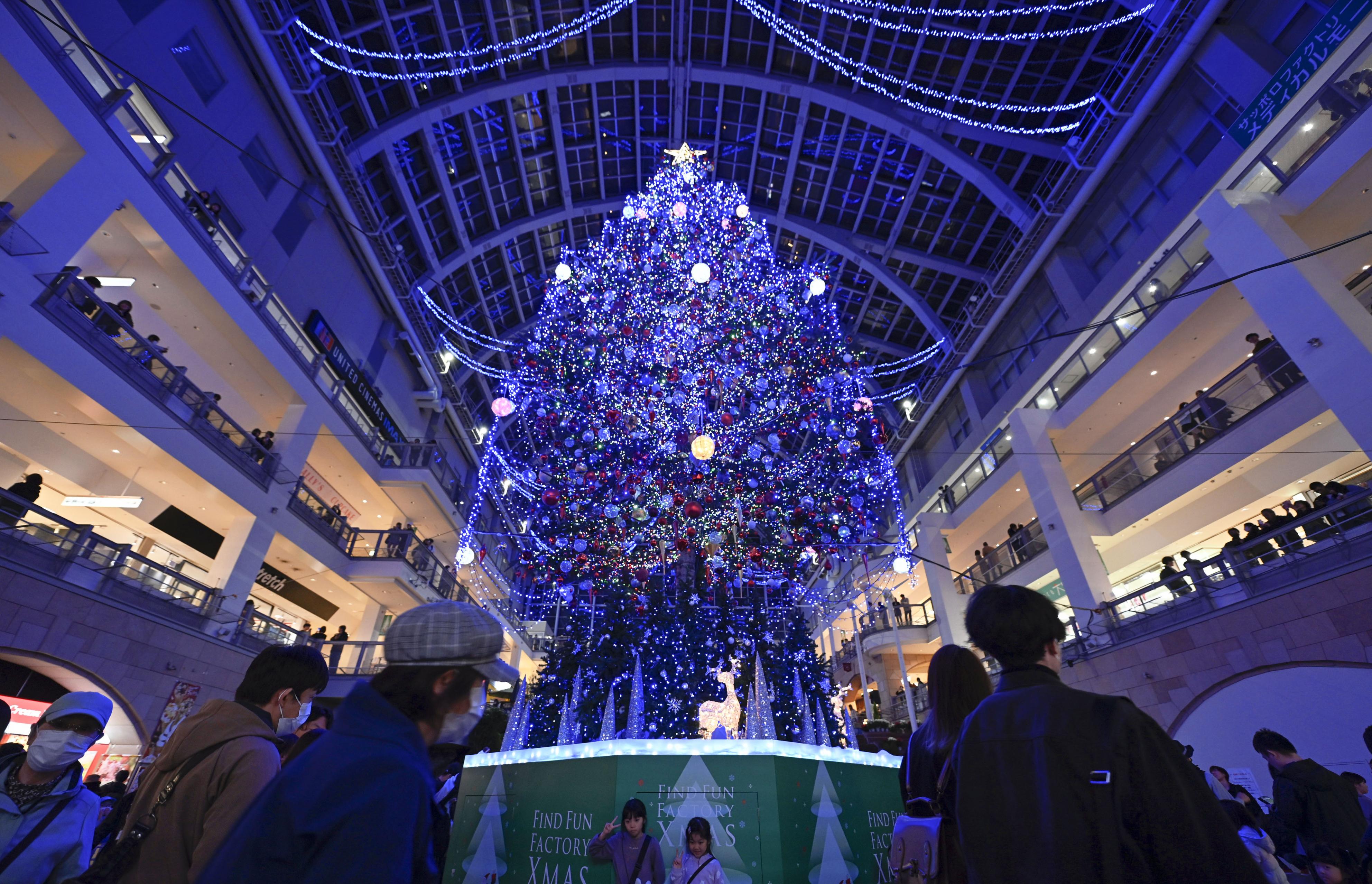 210センチ クリスマスツリー 受け渡し札幌周辺も可能 【公式 