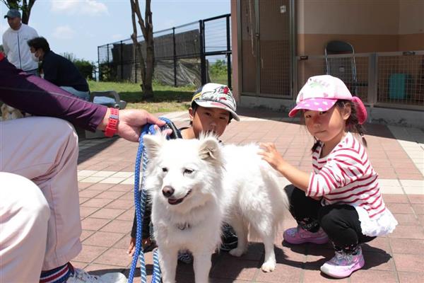 動物とふれあい楽しむ 和歌山県動物愛護センターでイベント 産経ニュース