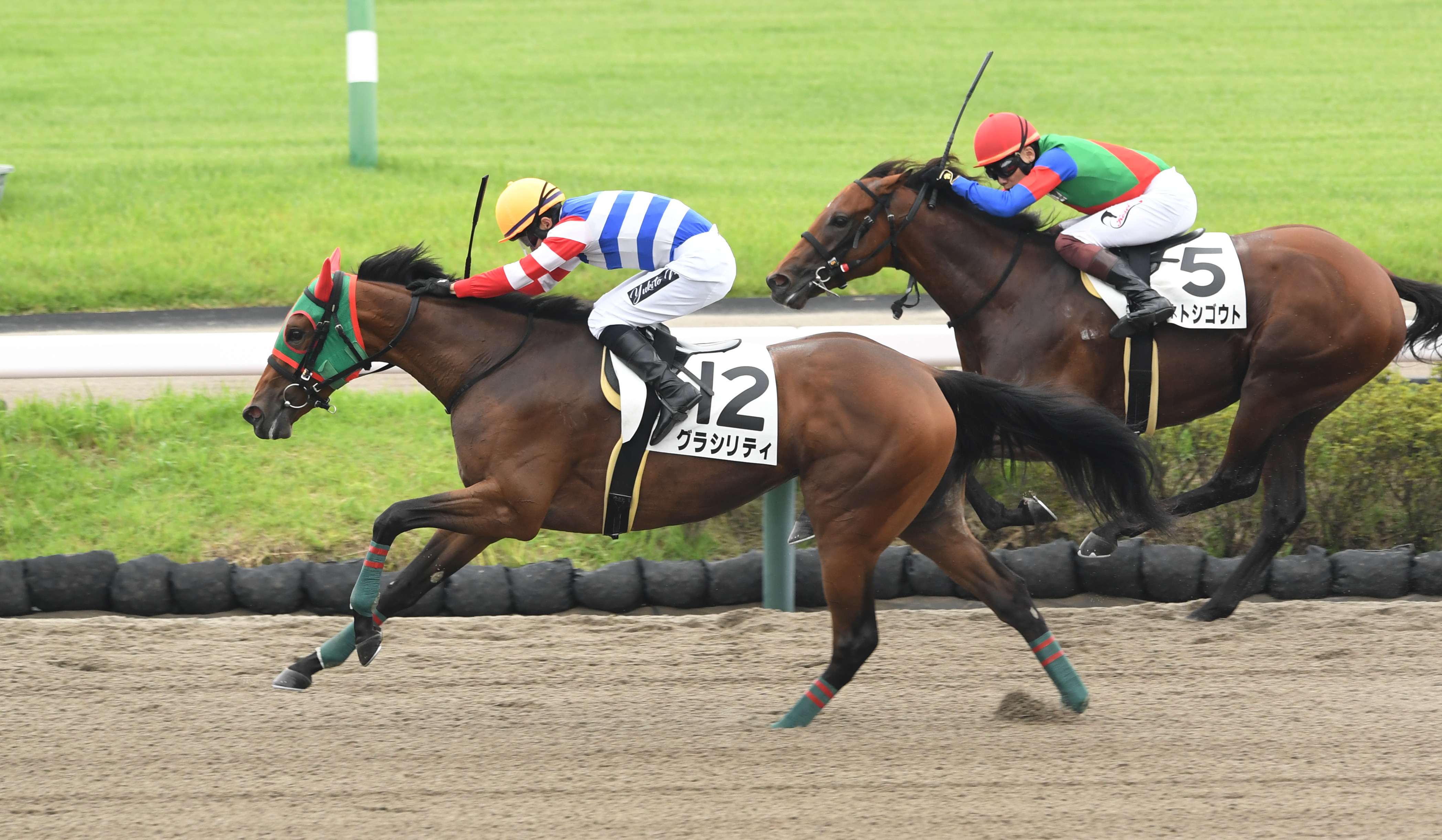 【２歳新馬・中山４Ｒ】６番人気グラシリティが鮮やかな差し脚で ...