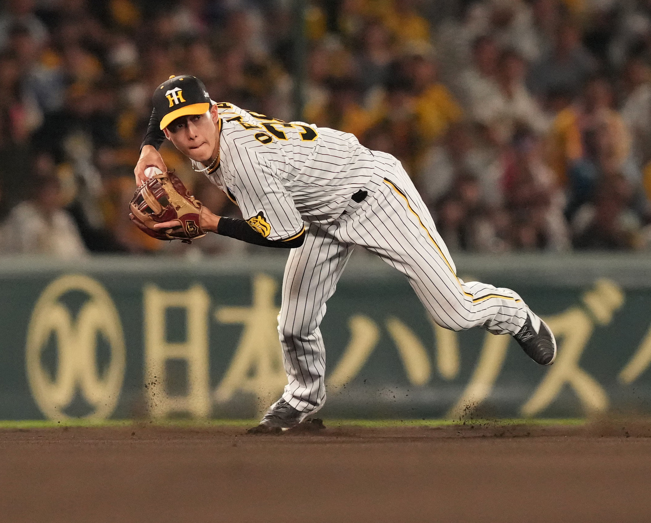 阪神・小幡竜平、遊撃奪取し「143試合出たい」 鉄人ボディー目指し