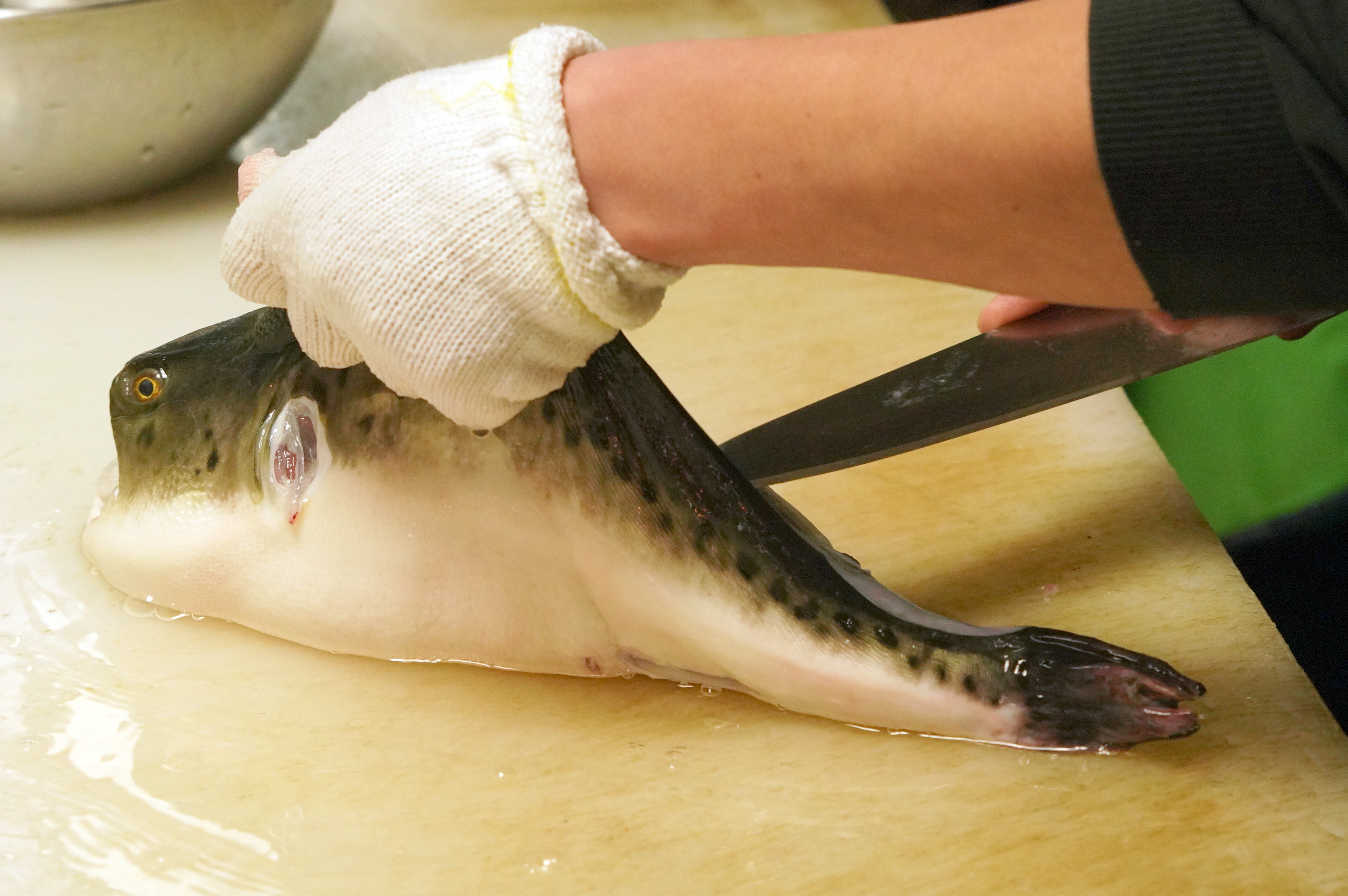 関西の鍋 てっぽう に魅せられて てっちり 伝え続けた庶民の味 産経ニュース