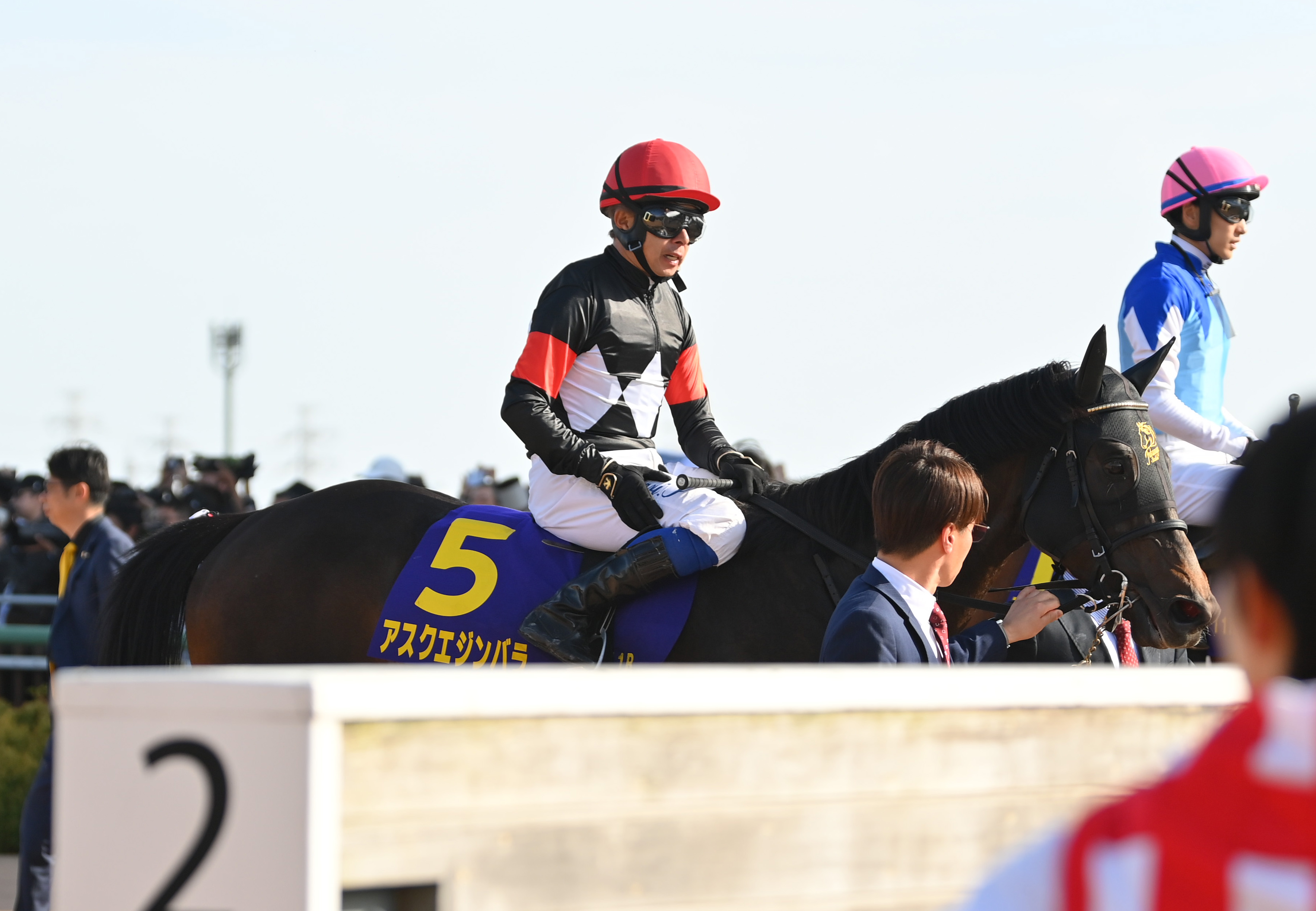 17日に落馬負傷の岩田康誠騎手が23日から日本ダービーに向けて調教騎乗 