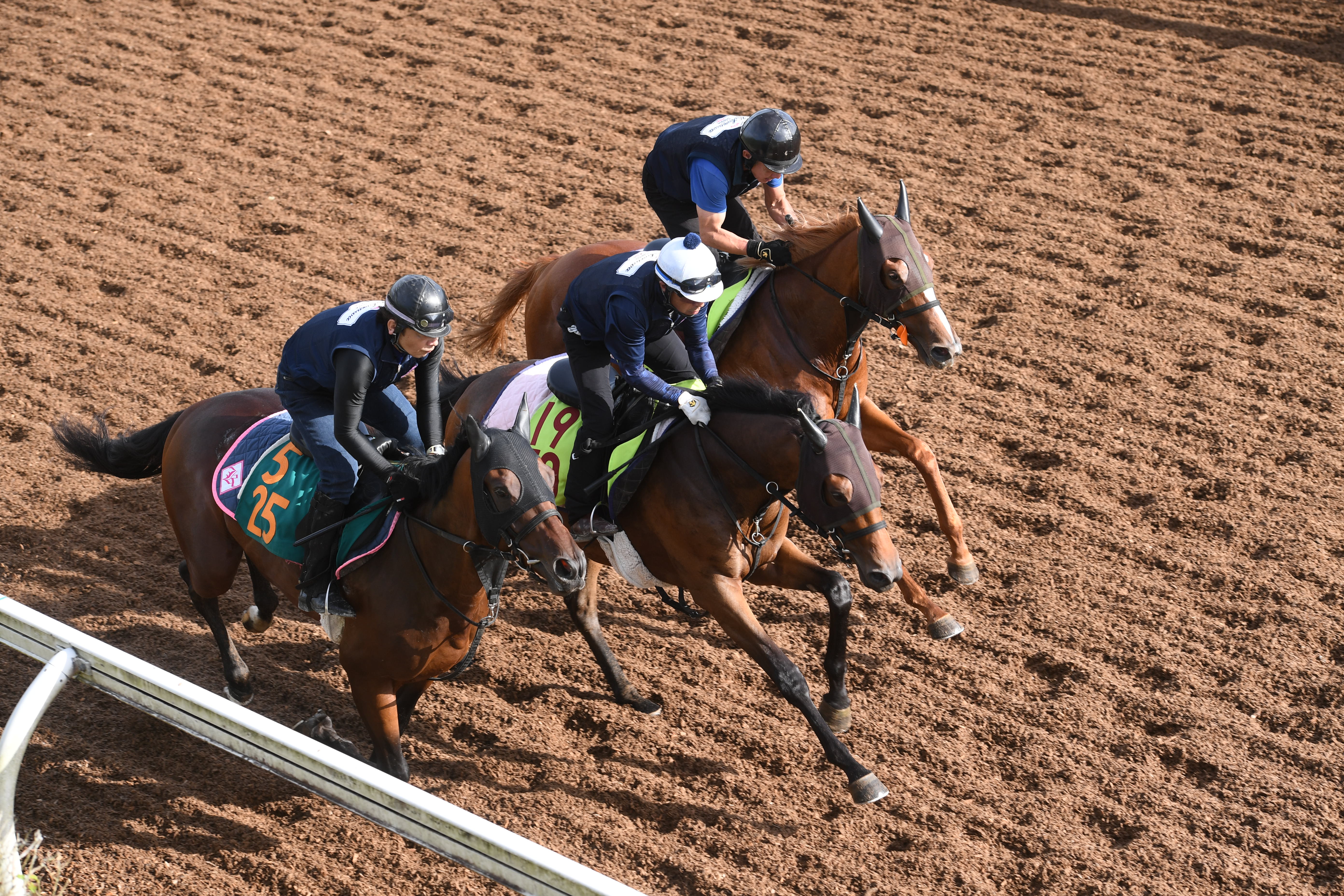 今日の注目新馬】タマモチョコチップ仕上がり万全 近親に重賞4勝エア