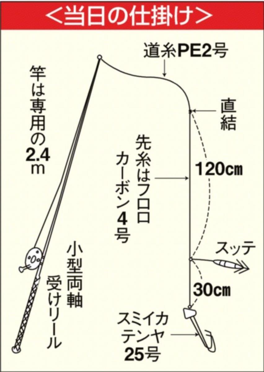 鈴原ありさのこんなのありさ スミイカ７２０グラム ズドン ありさのハートわしづかみ 1 2ページ サンスポ