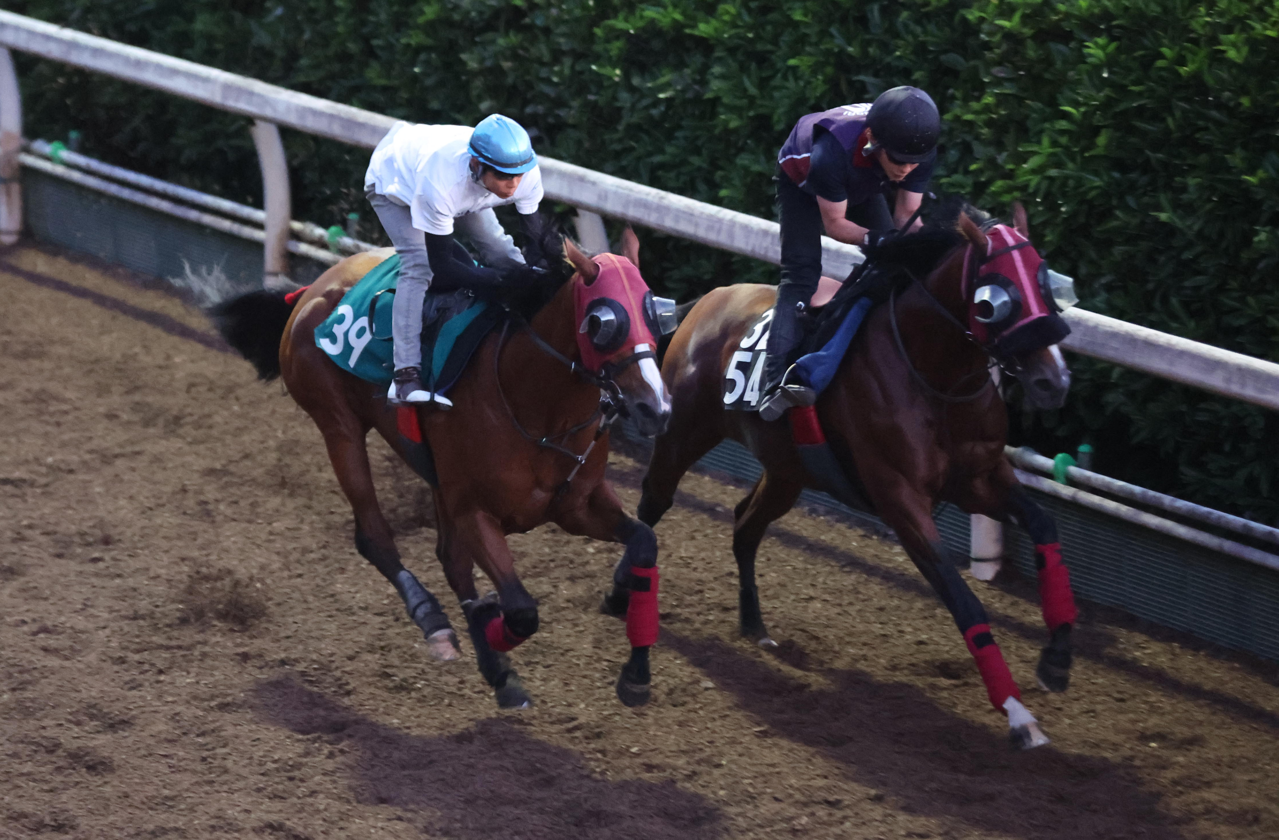 新潟2歳S 追い切り】トップチェッカーは控えめも気配良好 北村友一騎手