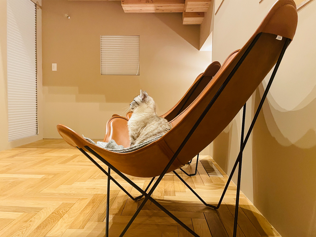 猫と暮らす家 〜リラックスチェアも猫のもの〜 - イザ！