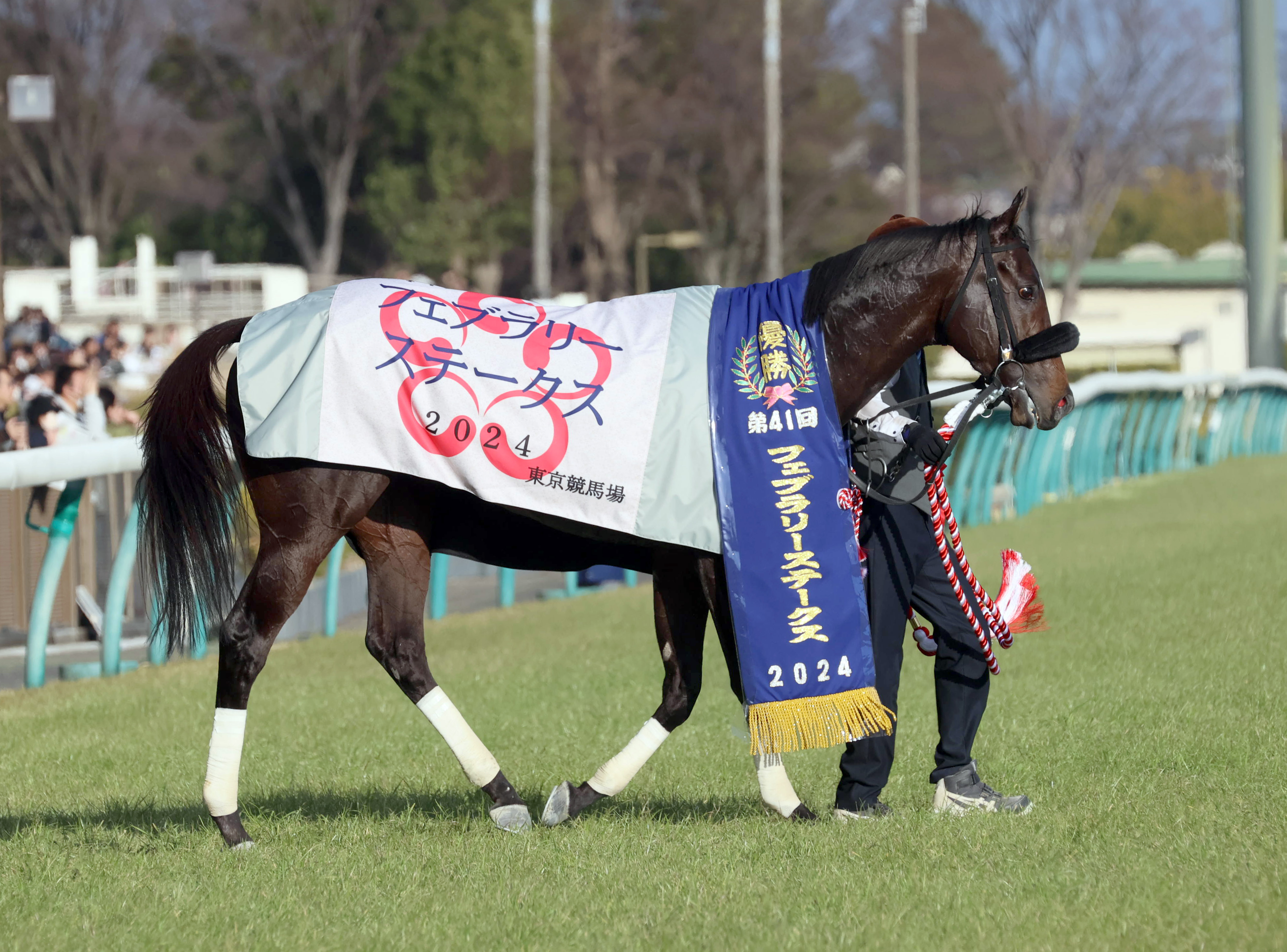 福原直英の福を呼ぶ馬】ペプチドナイルがフェブラリーＳ快勝 対