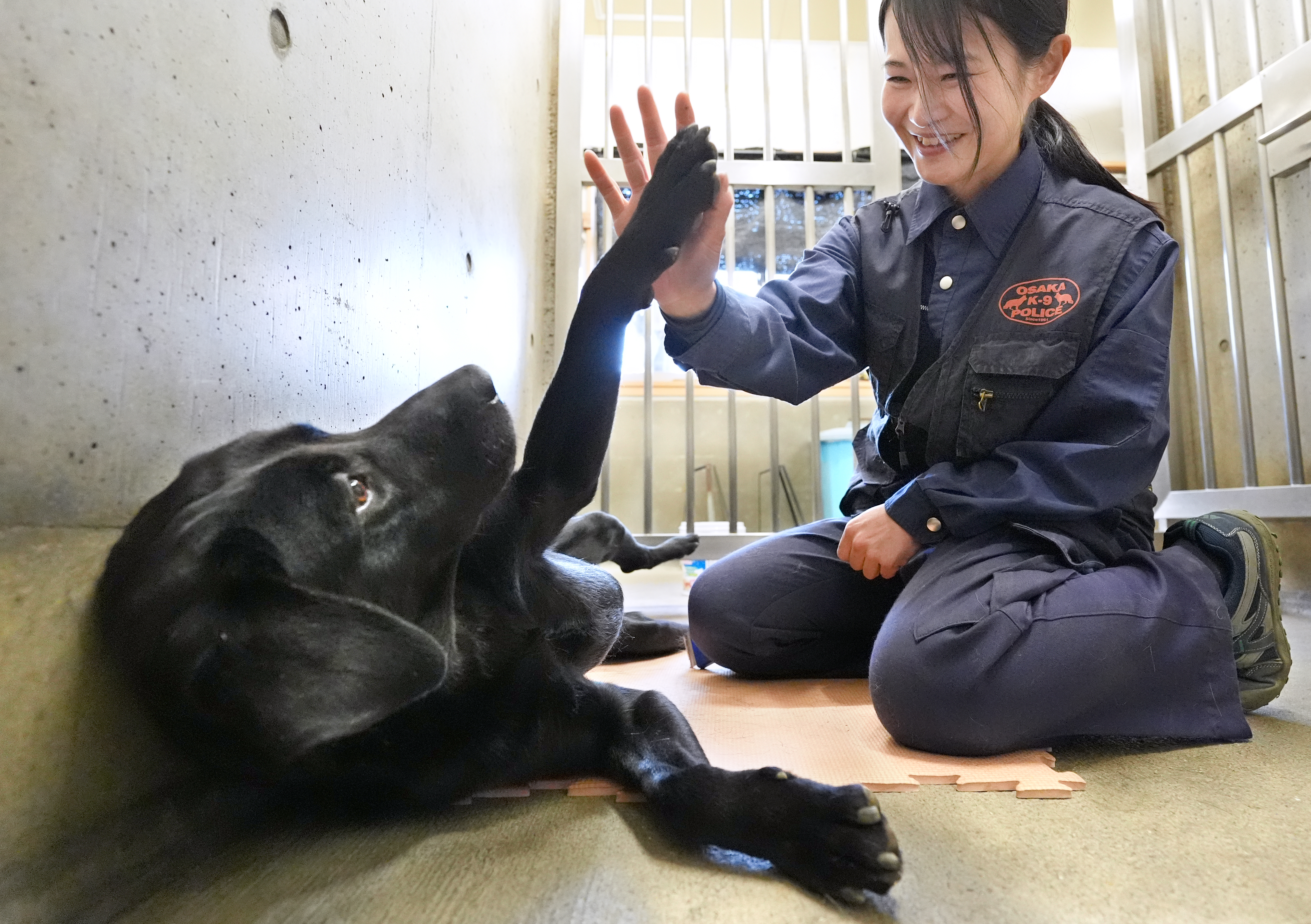 【新品】現在、過去、未来を見張っている守護力の強い番犬(太極石)3-2 3BNWEDTYXFIG7NKATA7DVU224Y.jpg