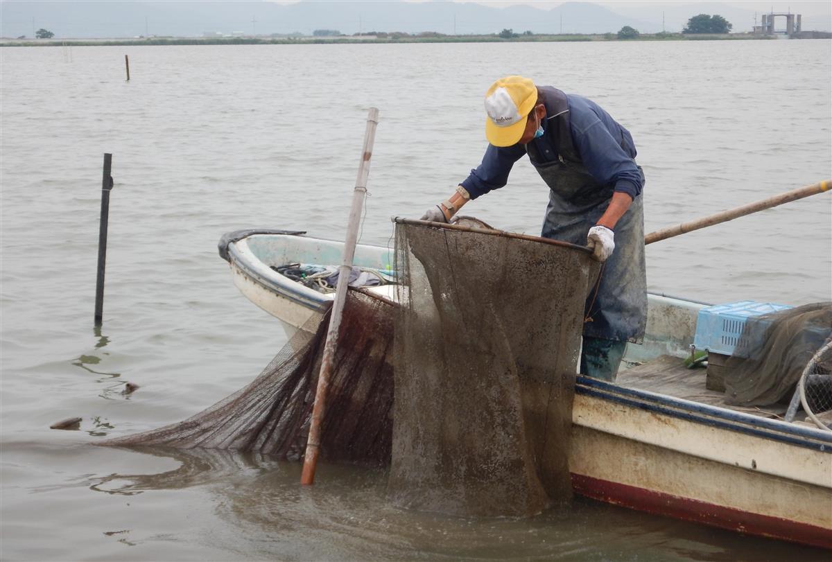 テナガエビが人工湖を掃除する 養殖で水質浄化に成果 1 2ページ 産経ニュース