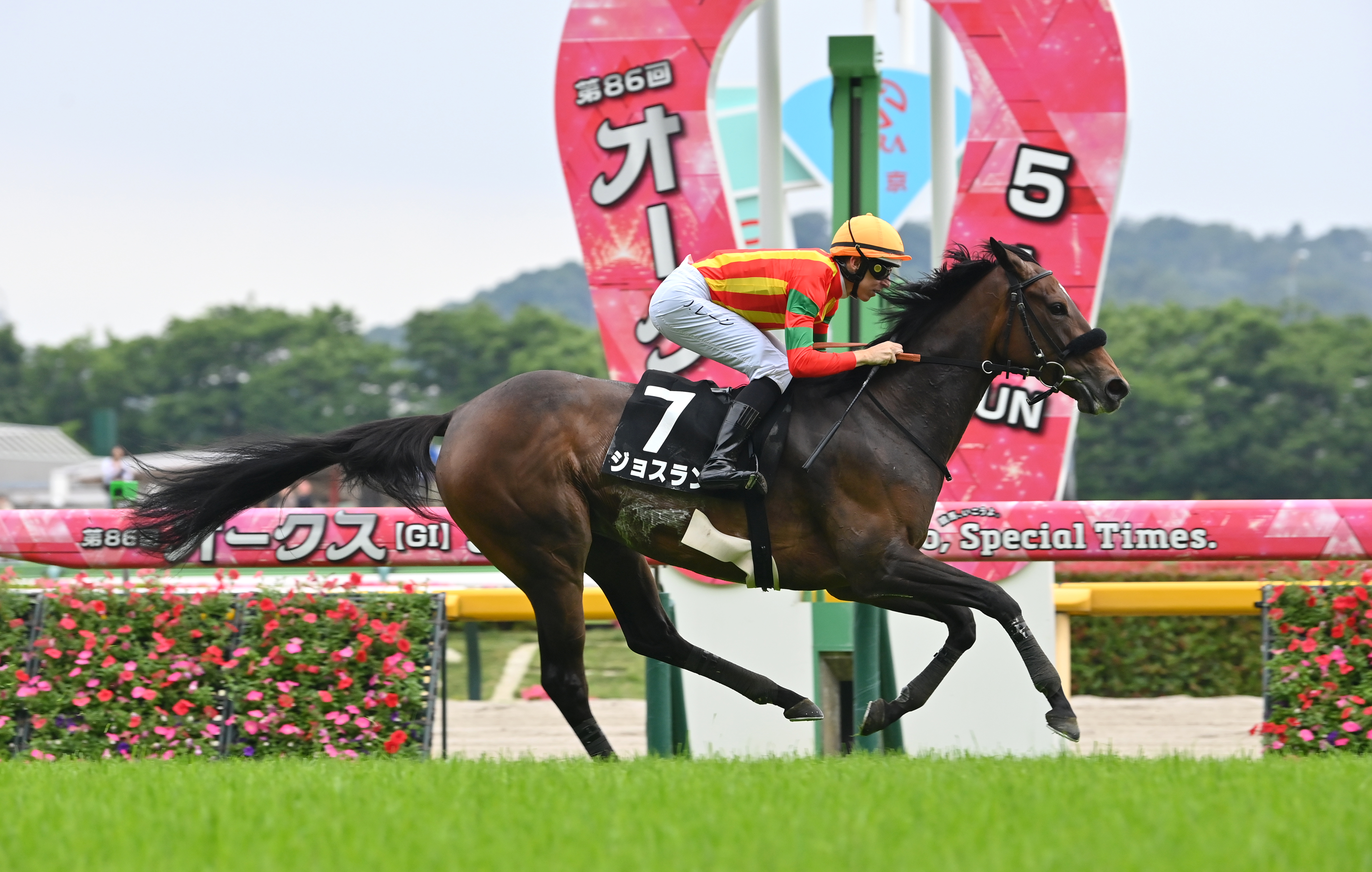 マッツジョナサン　北欧　スウェーデン　ガラス工芸　馬　競馬　ジョッキー　乗馬 マッツジョナサン 北欧 スウェーデン ガラス工芸 馬 競馬