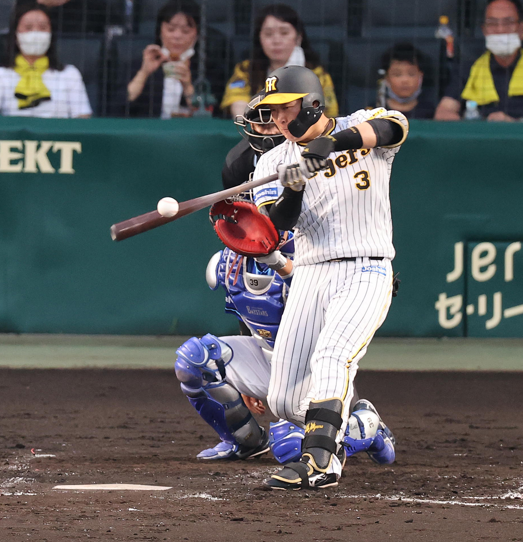 ７月２５日阪神タイガースイチオシ缶バッチ大山悠輔選手